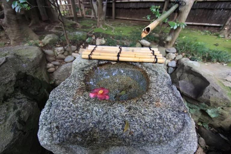 熊野古道--《千与千寻》同款徒步线路,通往心灵秘境的千年朝圣的道路