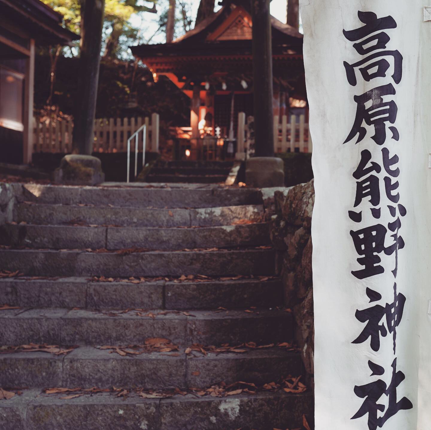 熊野古道--《千与千寻》同款徒步线路,通往心灵秘境的千年朝圣的道路