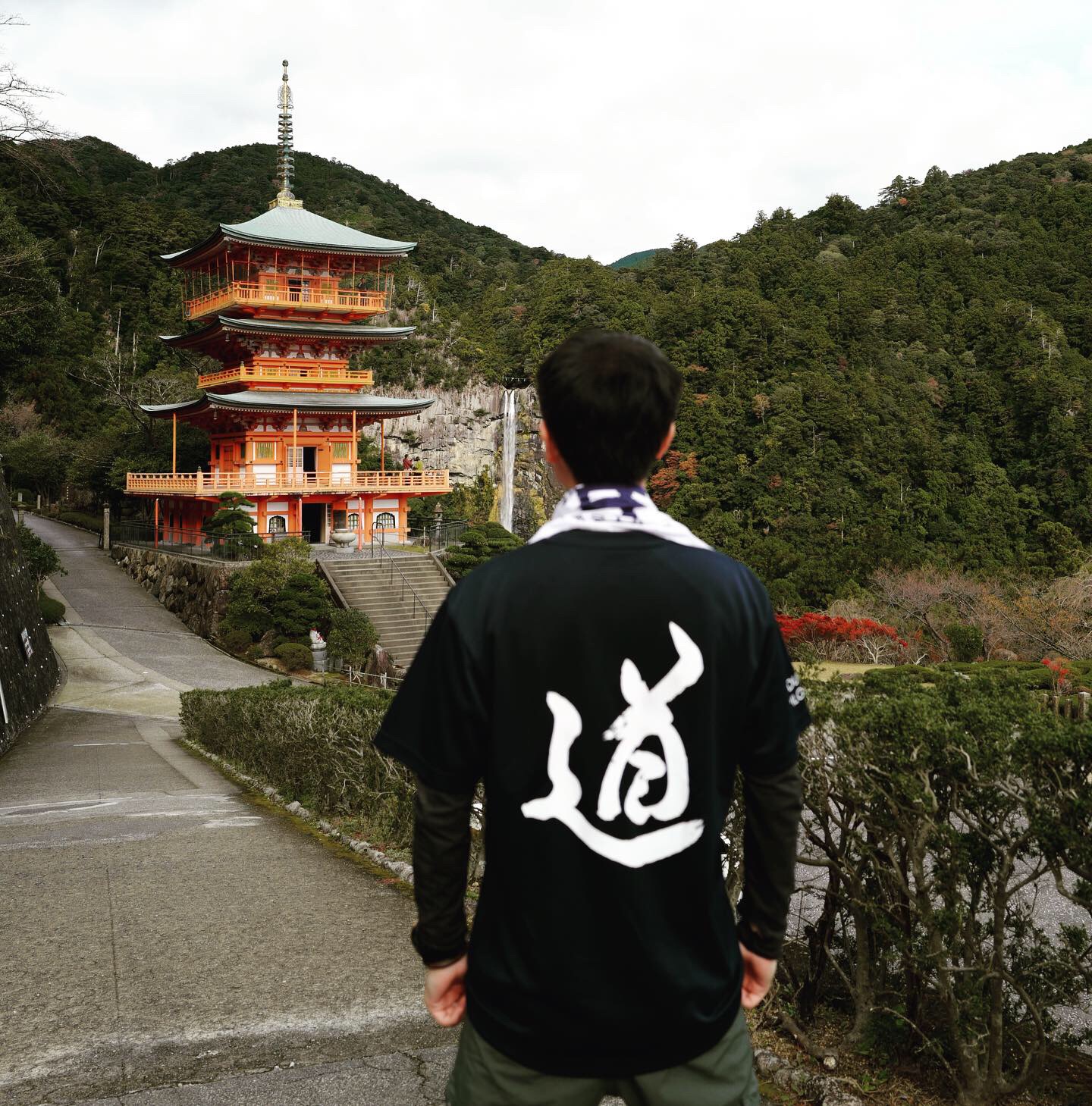 熊野古道--《千与千寻》同款徒步线路,通往心灵秘境的千年朝圣的道路