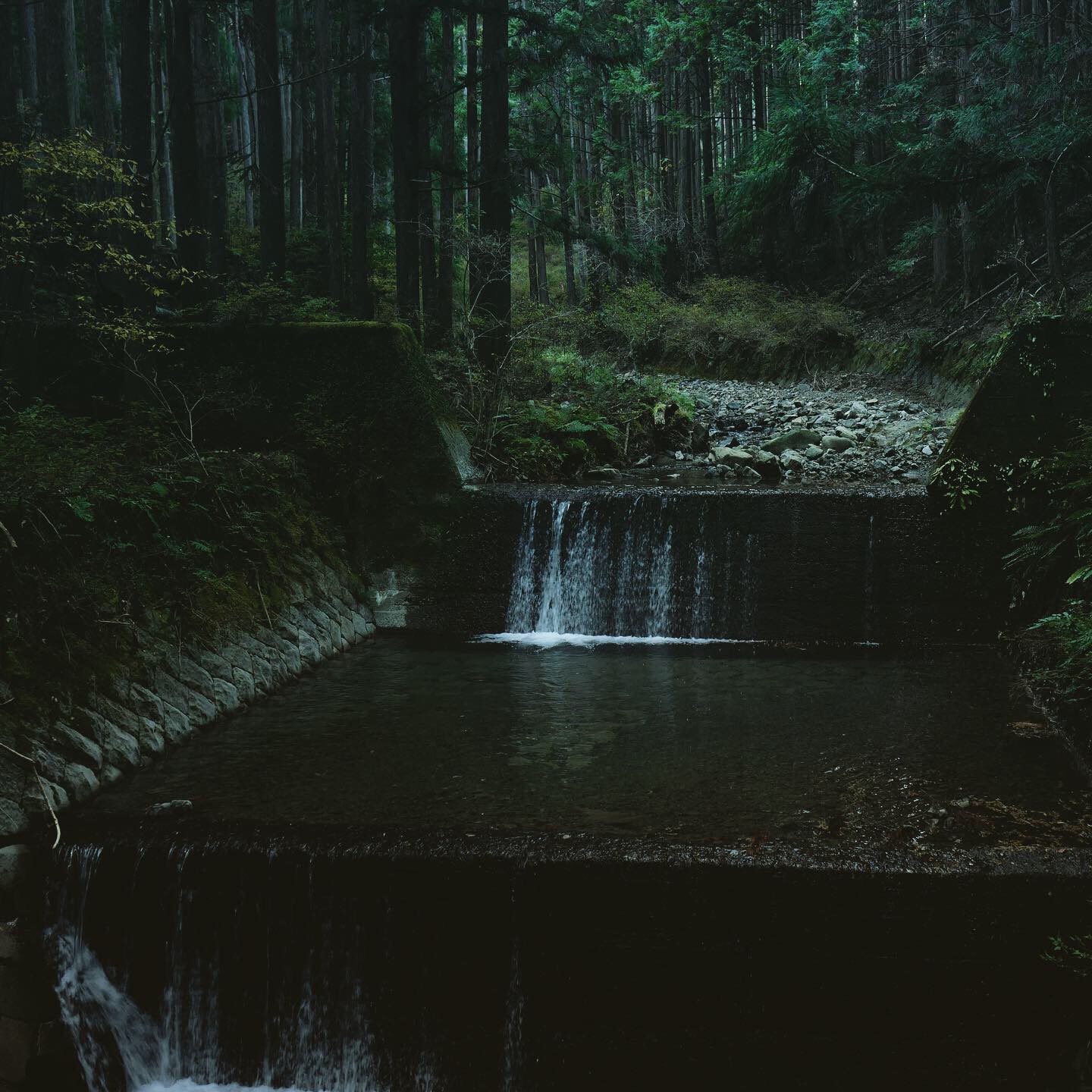 熊野古道--《千与千寻》同款徒步线路,通往心灵秘境的千年朝圣的道路