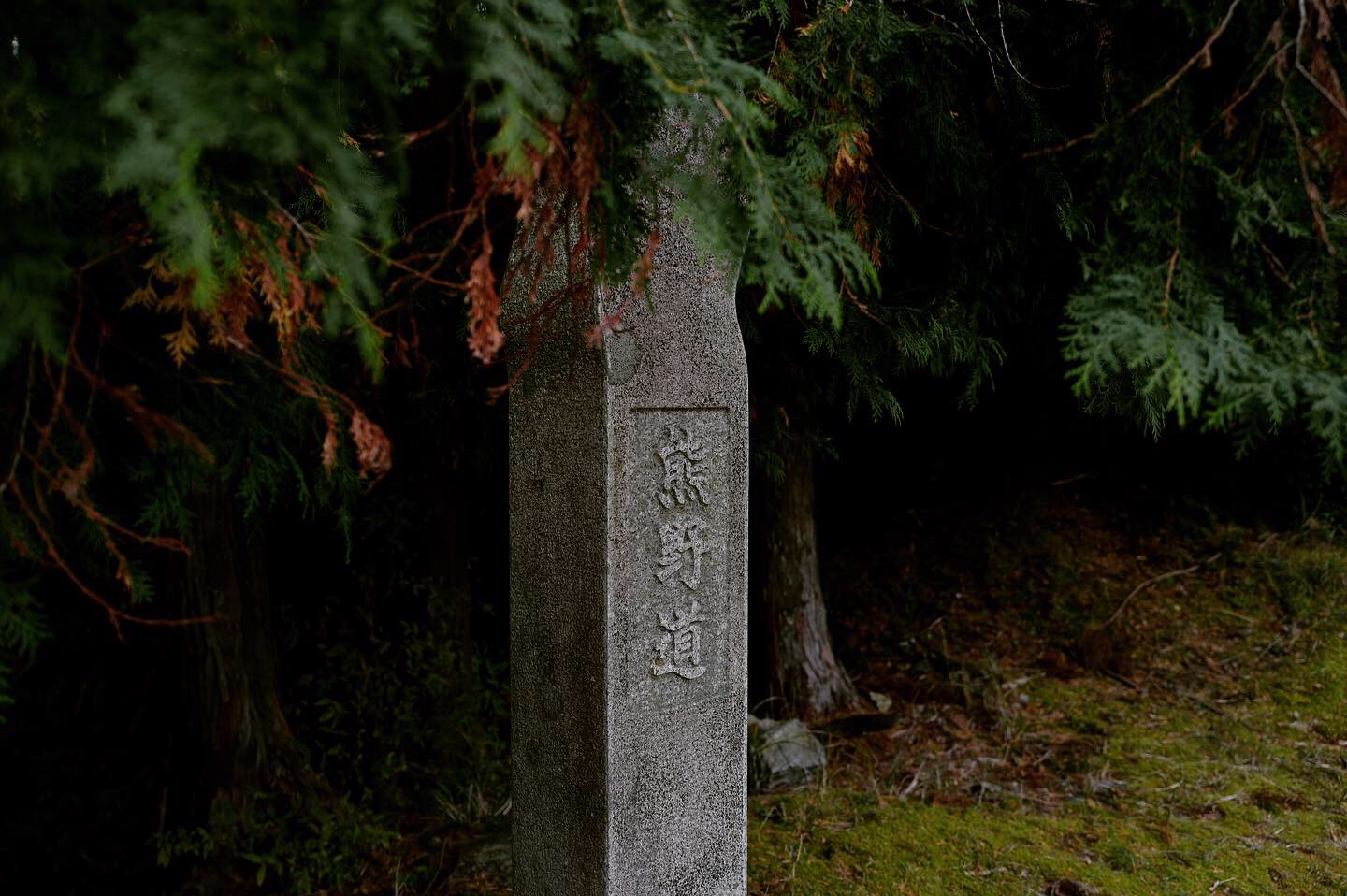 熊野古道--《千与千寻》同款徒步线路,通往心灵秘境的千年朝圣的道路