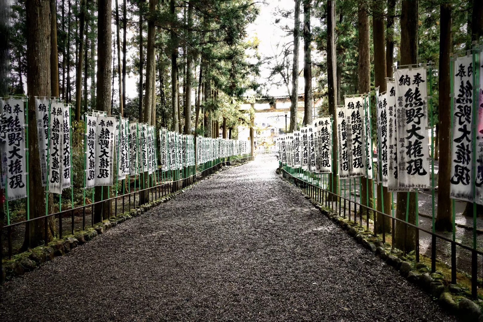 熊野古道--《千与千寻》同款徒步线路,通往心灵秘境的千年朝圣的道路