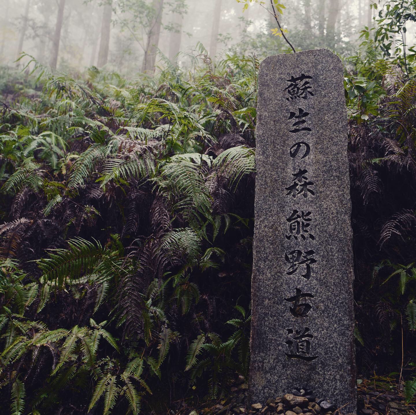 熊野古道--《千与千寻》同款徒步线路,通往心灵秘境的千年朝圣的道路