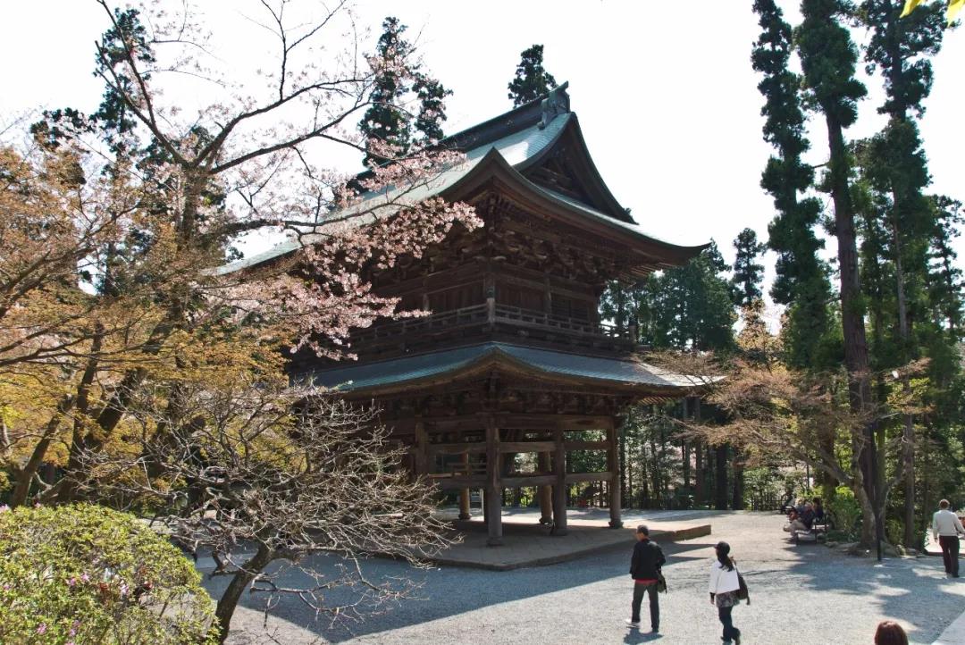 熊野古道--《千与千寻》同款徒步线路,通往心灵秘境的千年朝圣的道路
