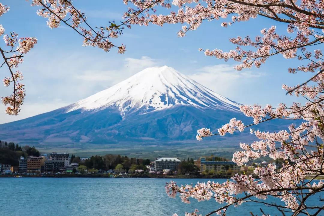 熊野古道--《千与千寻》同款徒步线路,通往心灵秘境的千年朝圣的道路