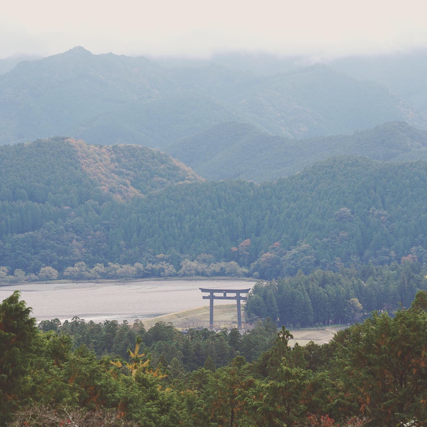 熊野古道--《千与千寻》同款徒步线路,通往心灵秘境的千年朝圣的道路