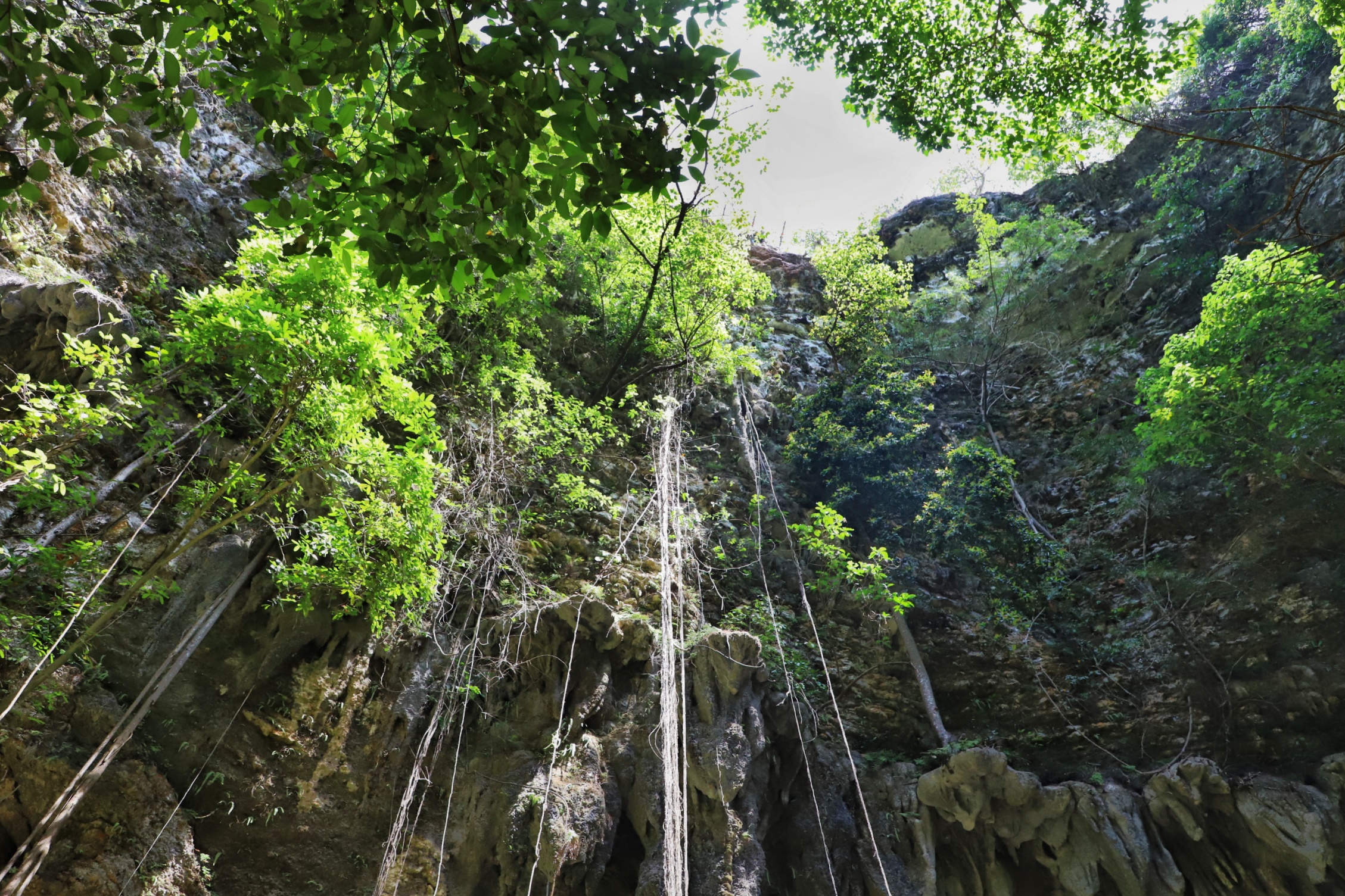 印尼丨28天8座岛，洞穴火山、冲浪游猎，山海故事集