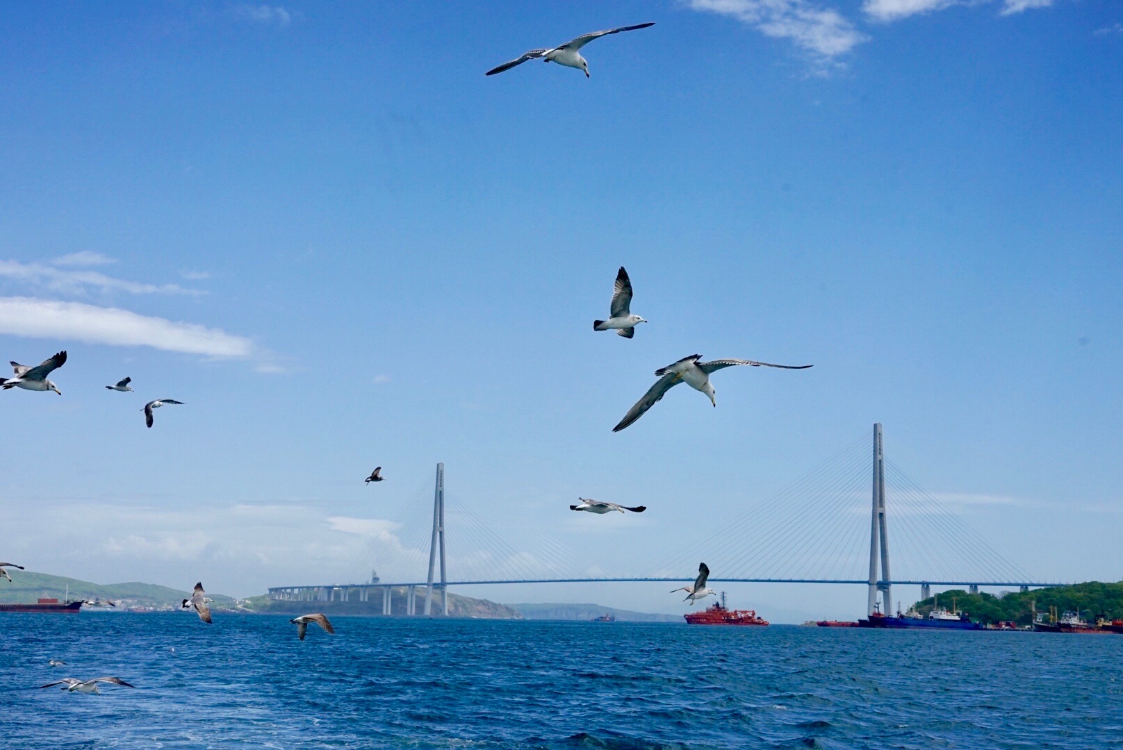 海参崴的温顺时光,慢下来去看海