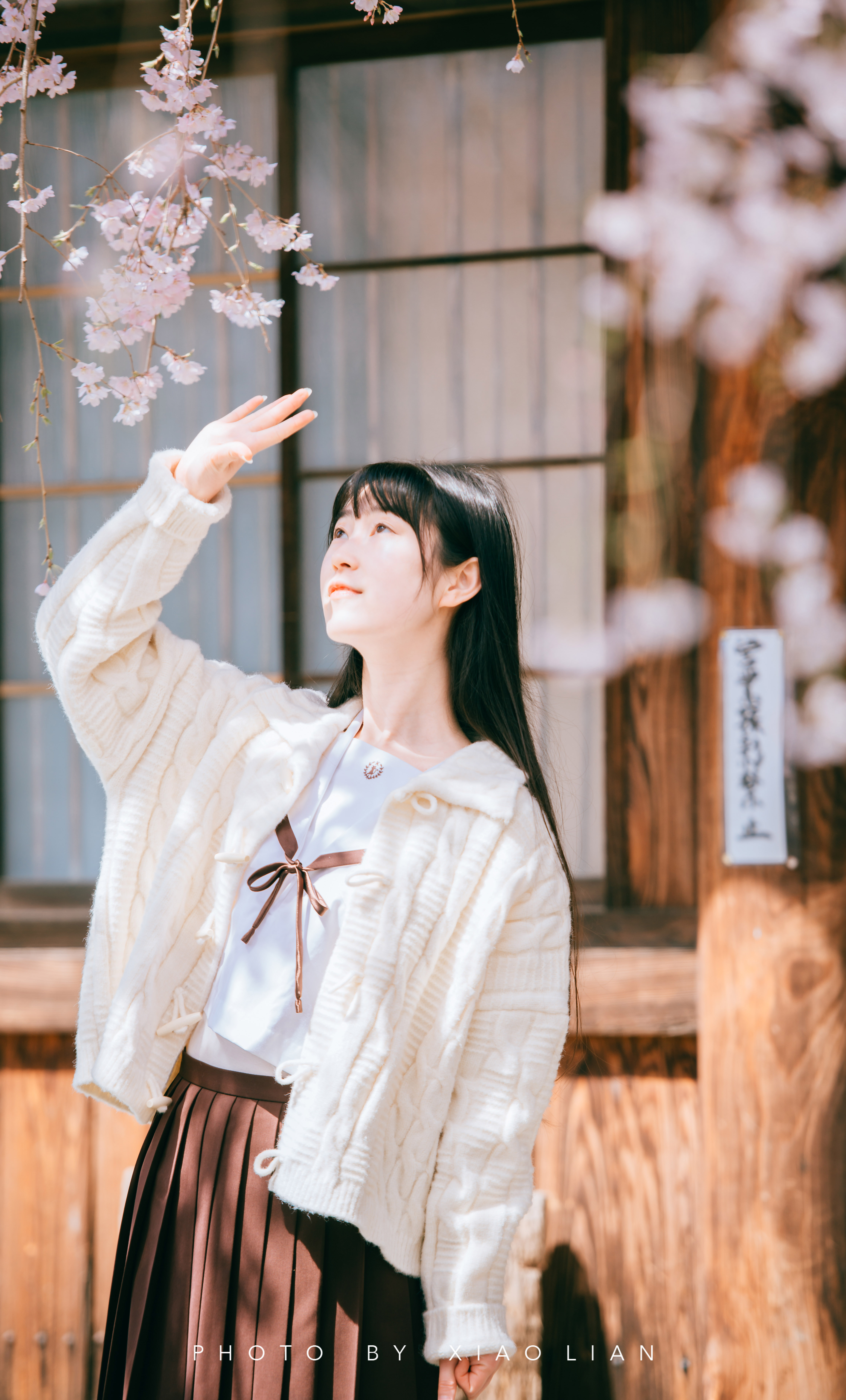 日本 | 慢行关西,赴一场樱之约