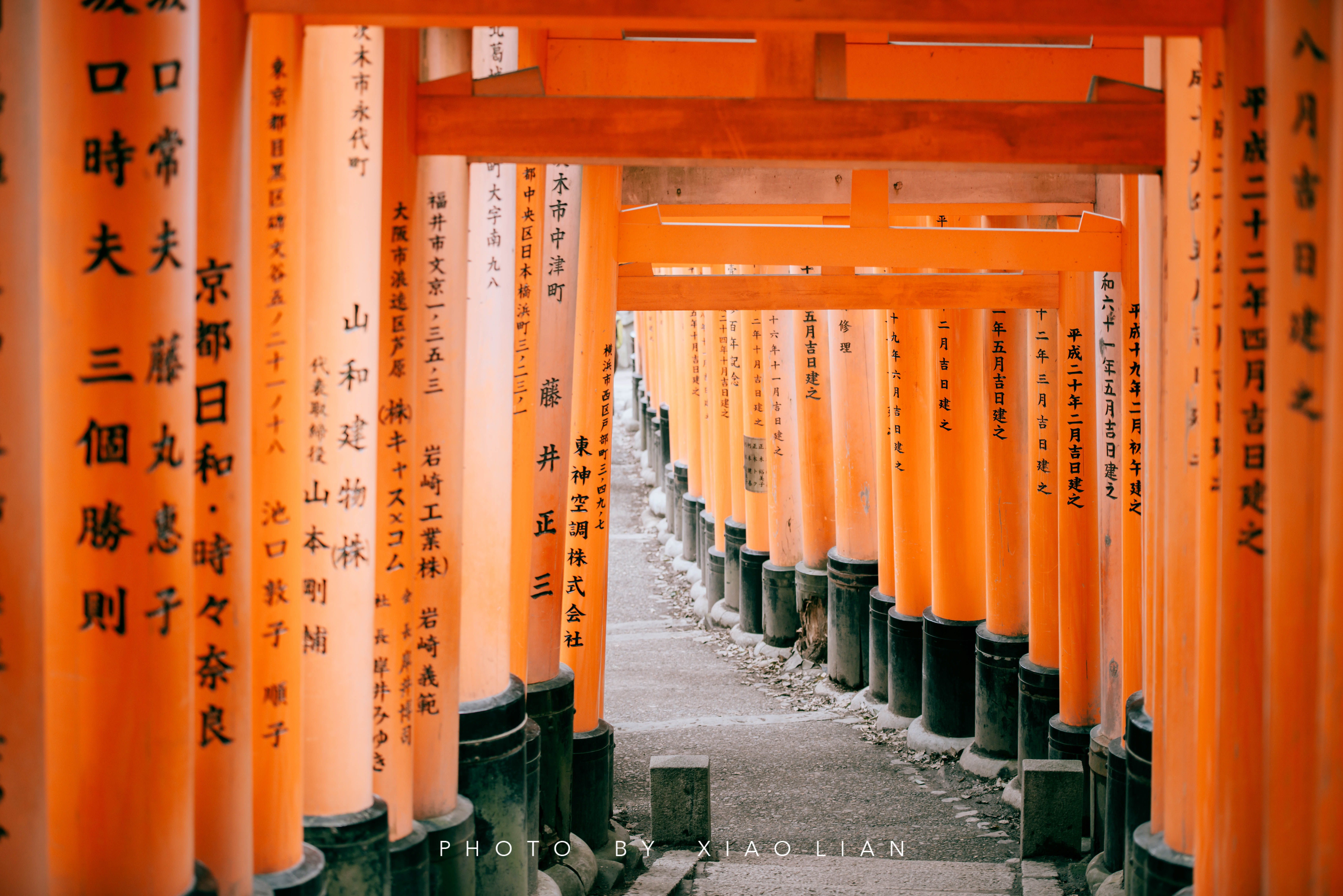 日本 | 慢行关西,赴一场樱之约