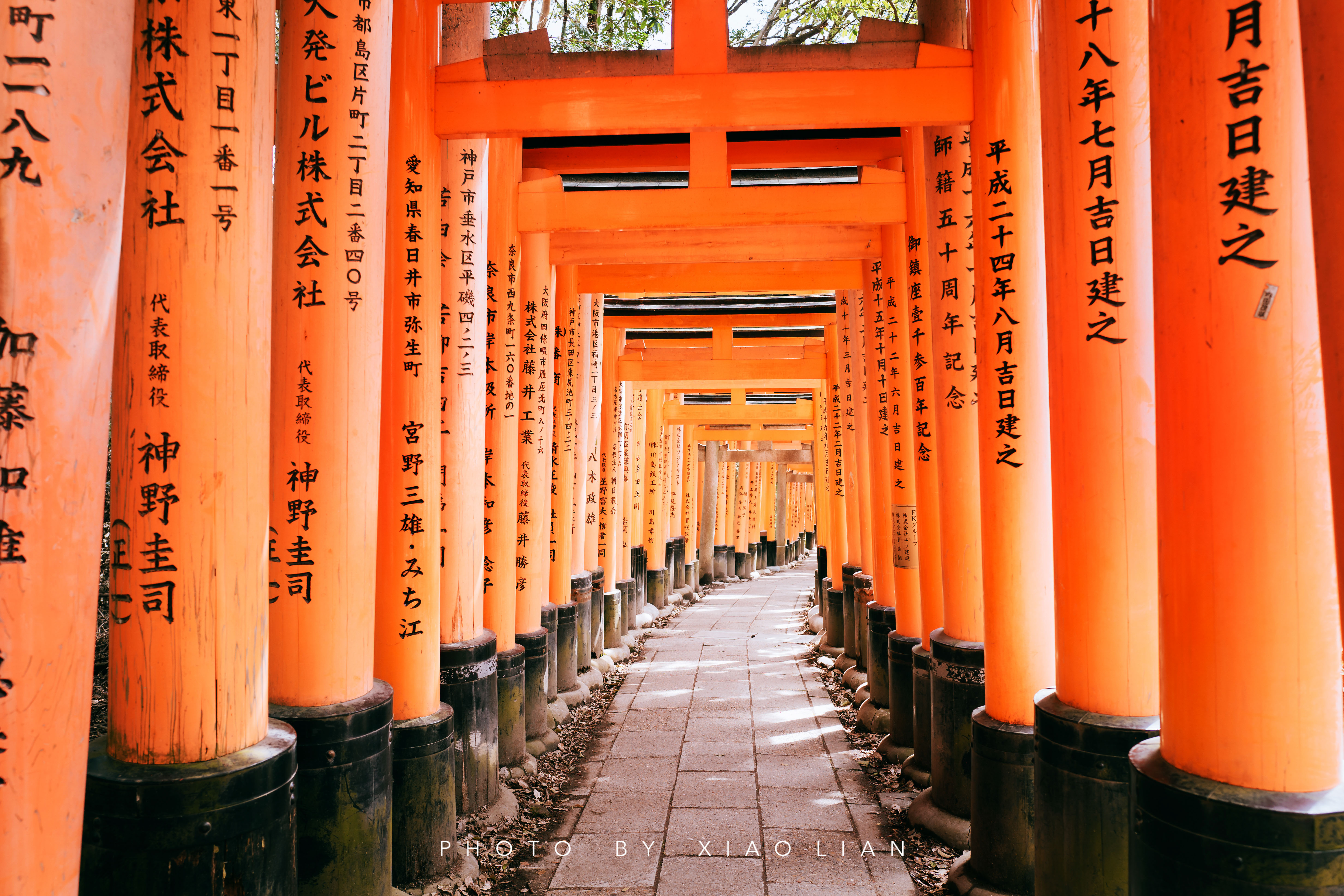 日本 | 慢行关西,赴一场樱之约