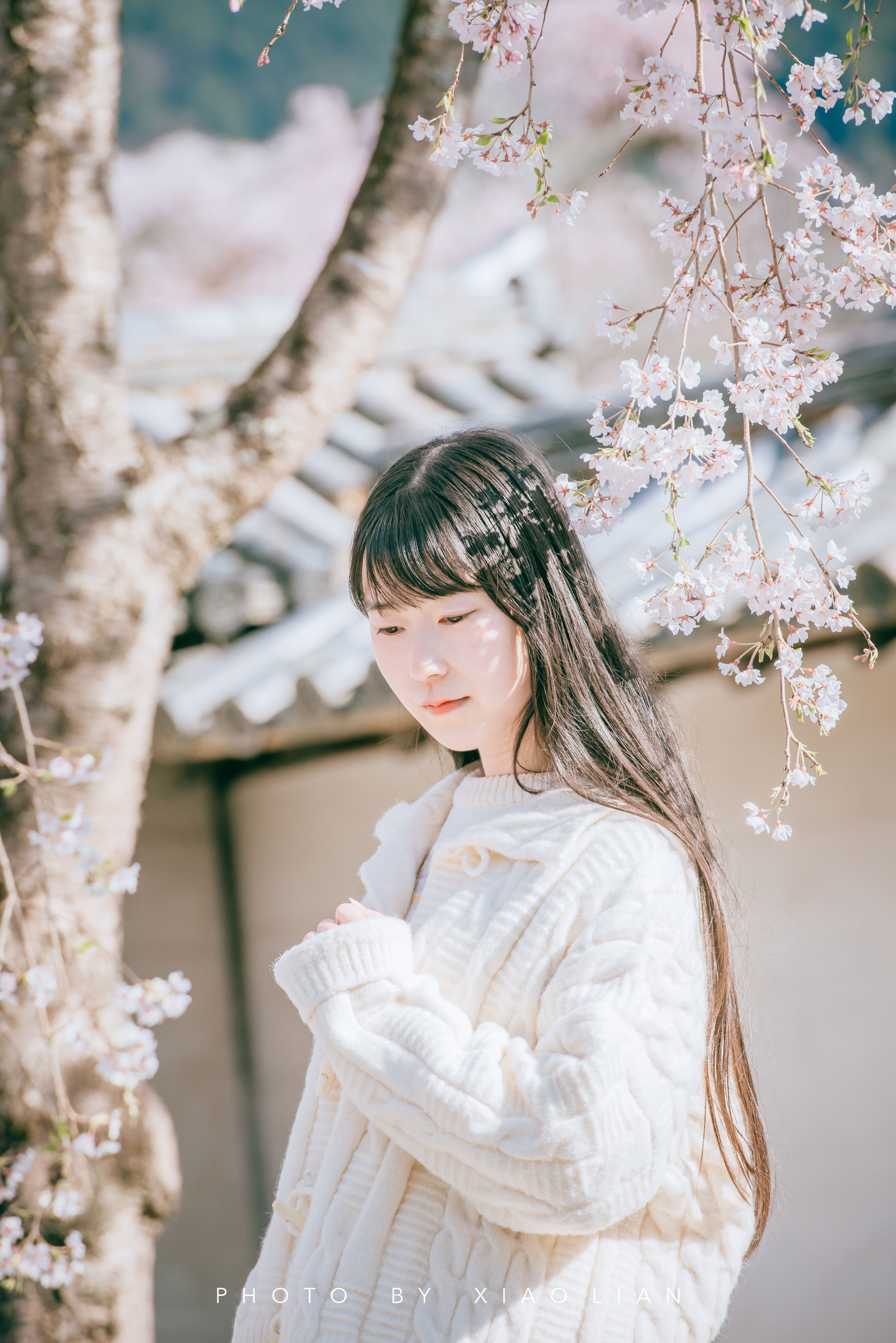 日本 | 慢行关西,赴一场樱之约