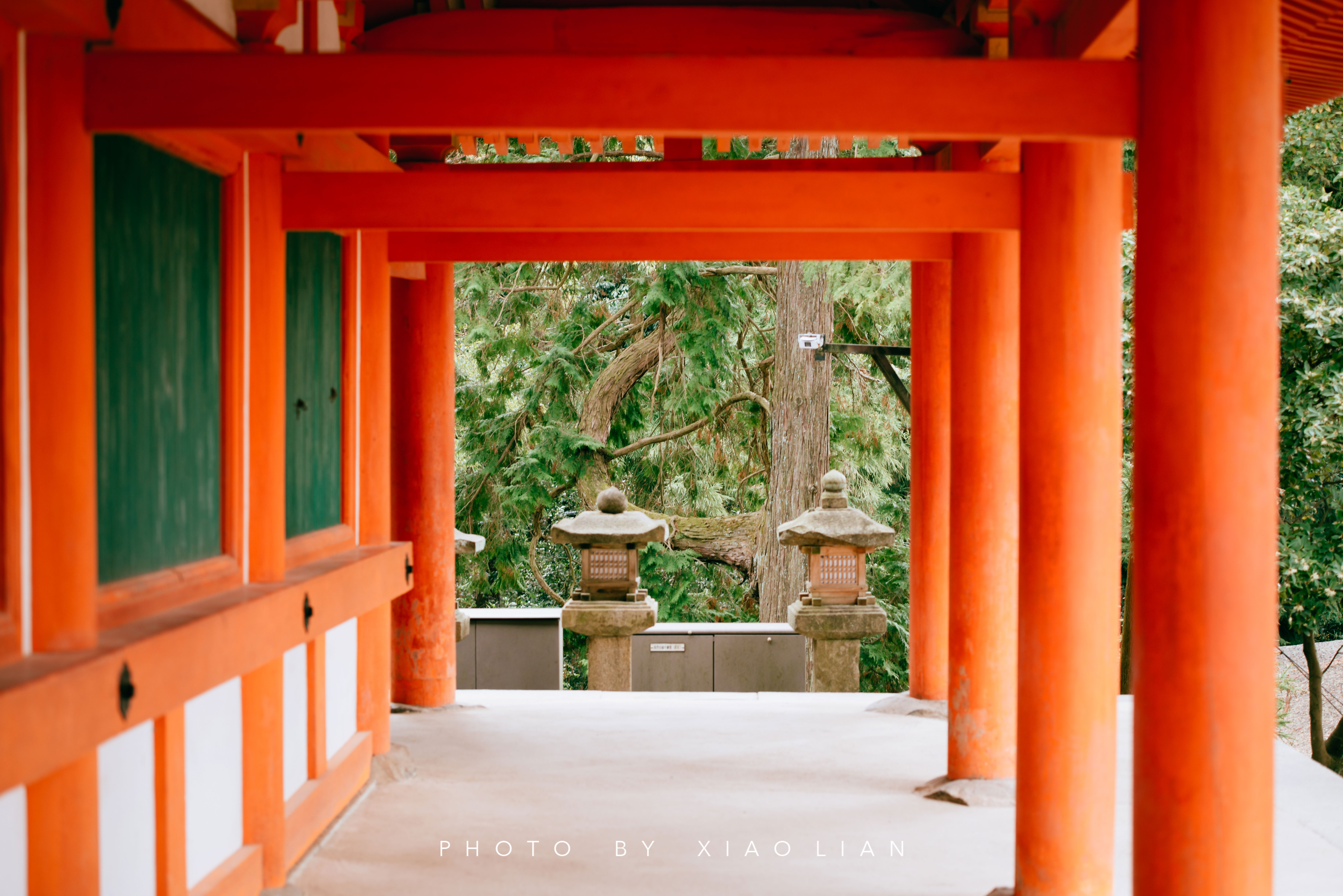 日本 | 慢行关西,赴一场樱之约