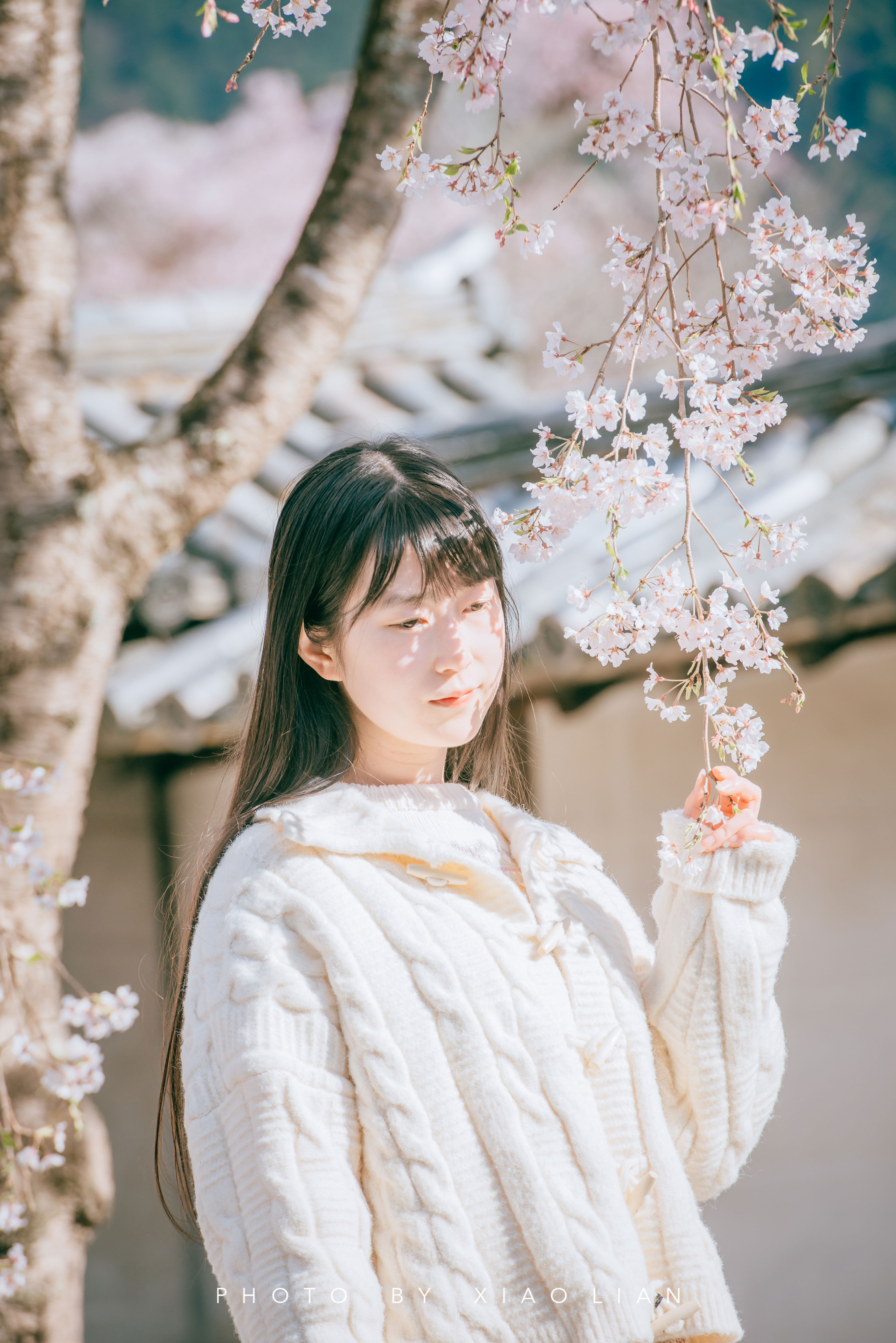 日本 | 慢行关西,赴一场樱之约