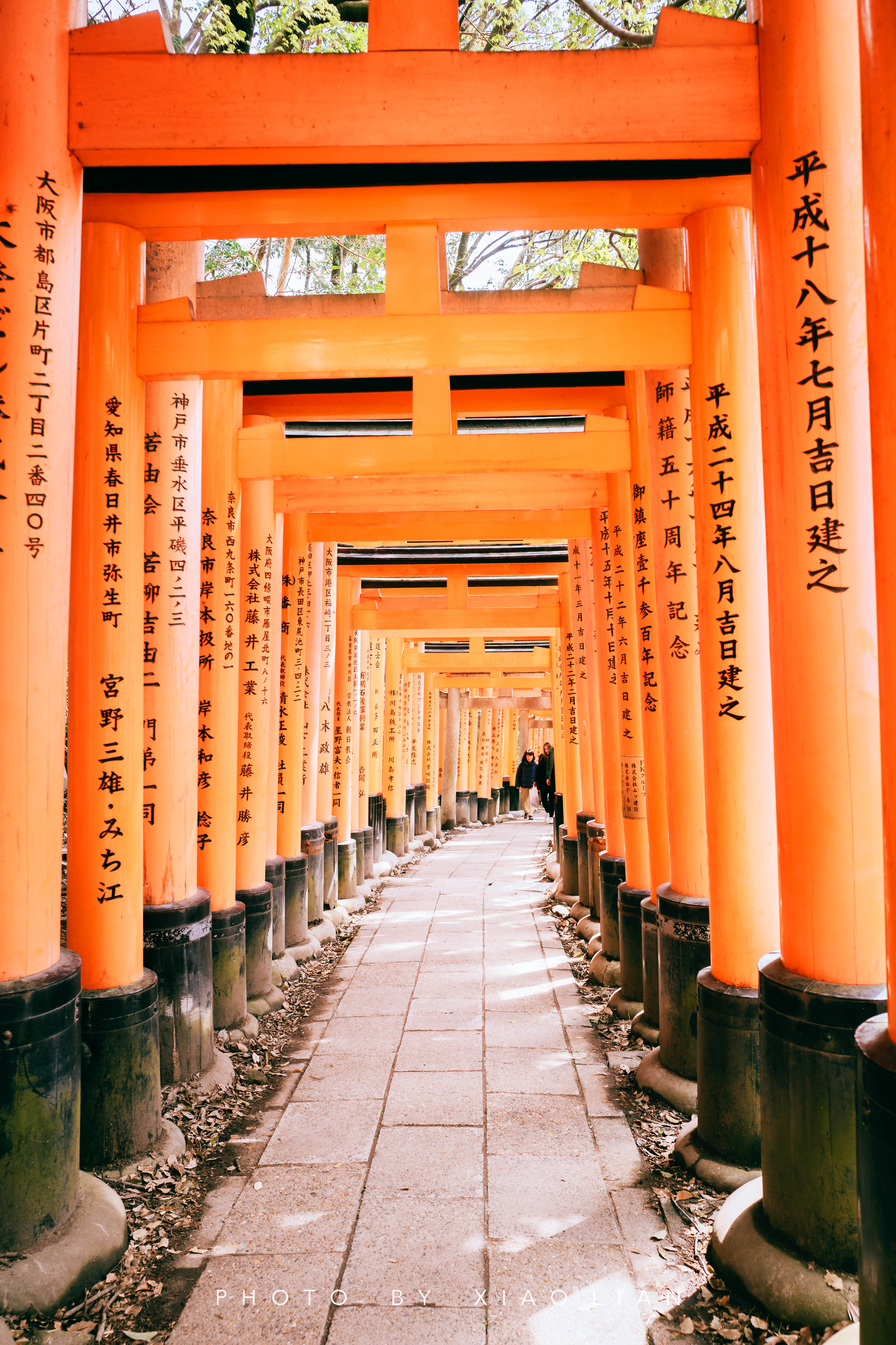 日本 | 慢行关西,赴一场樱之约