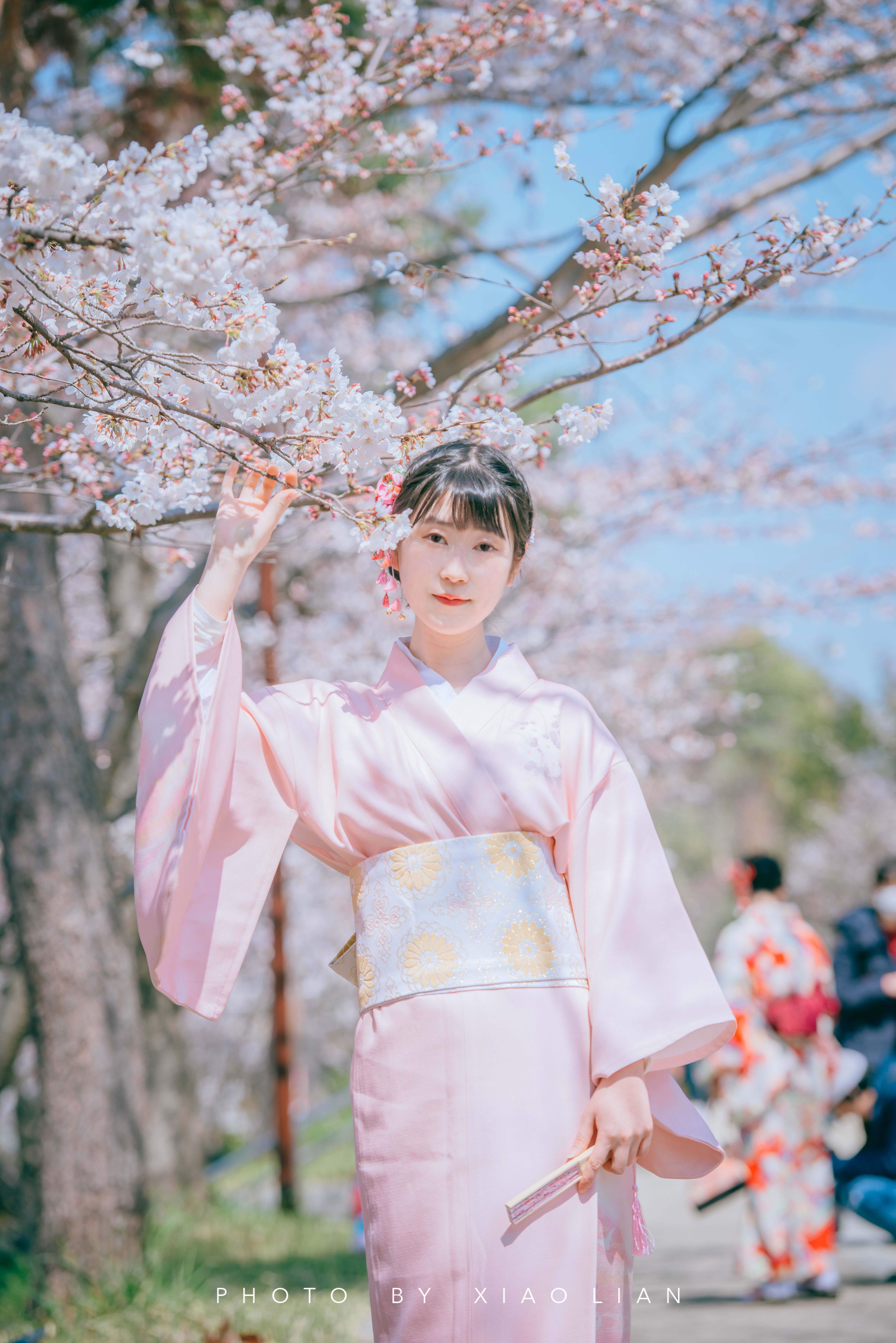 日本 | 慢行关西,赴一场樱之约