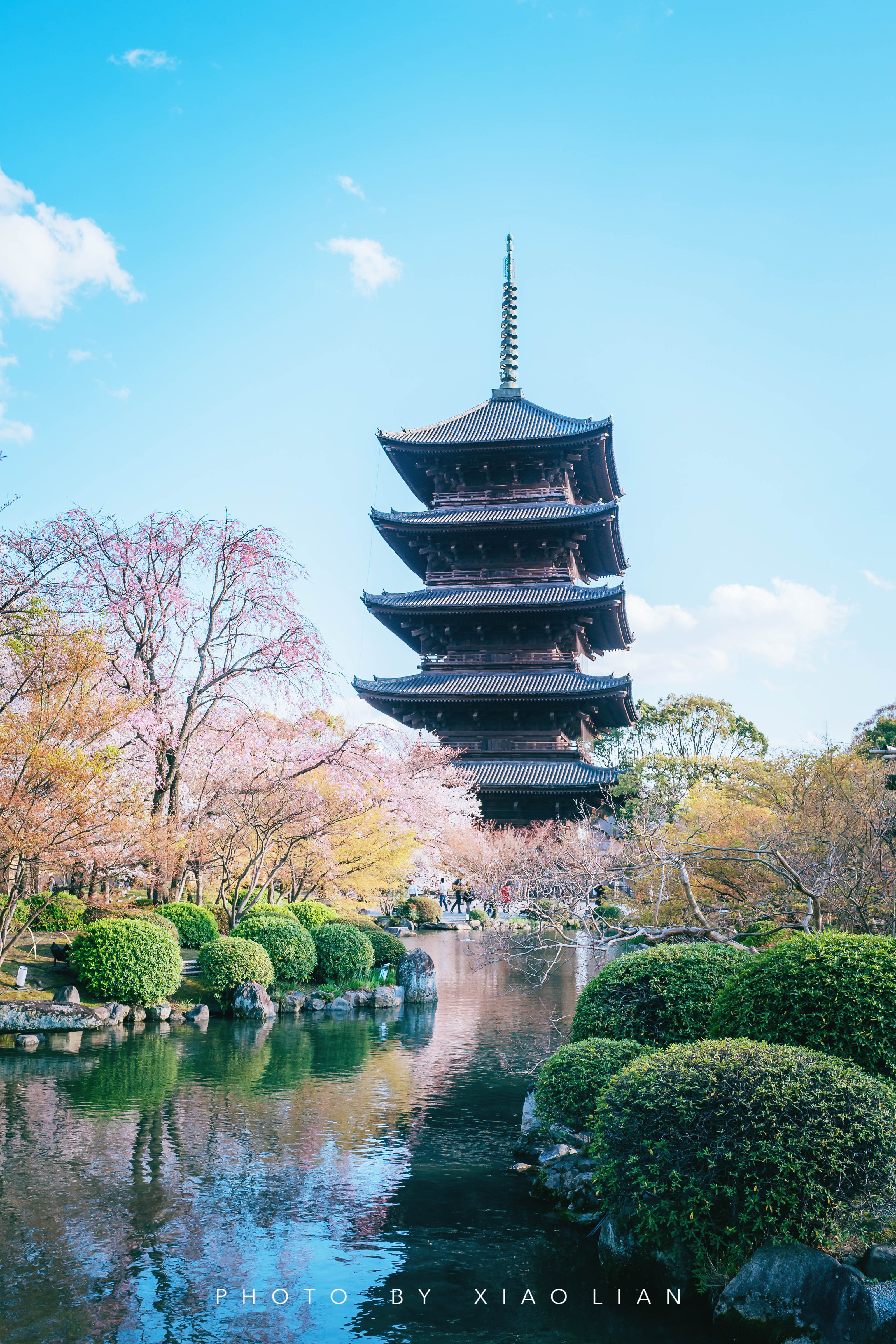 日本 | 慢行关西,赴一场樱之约