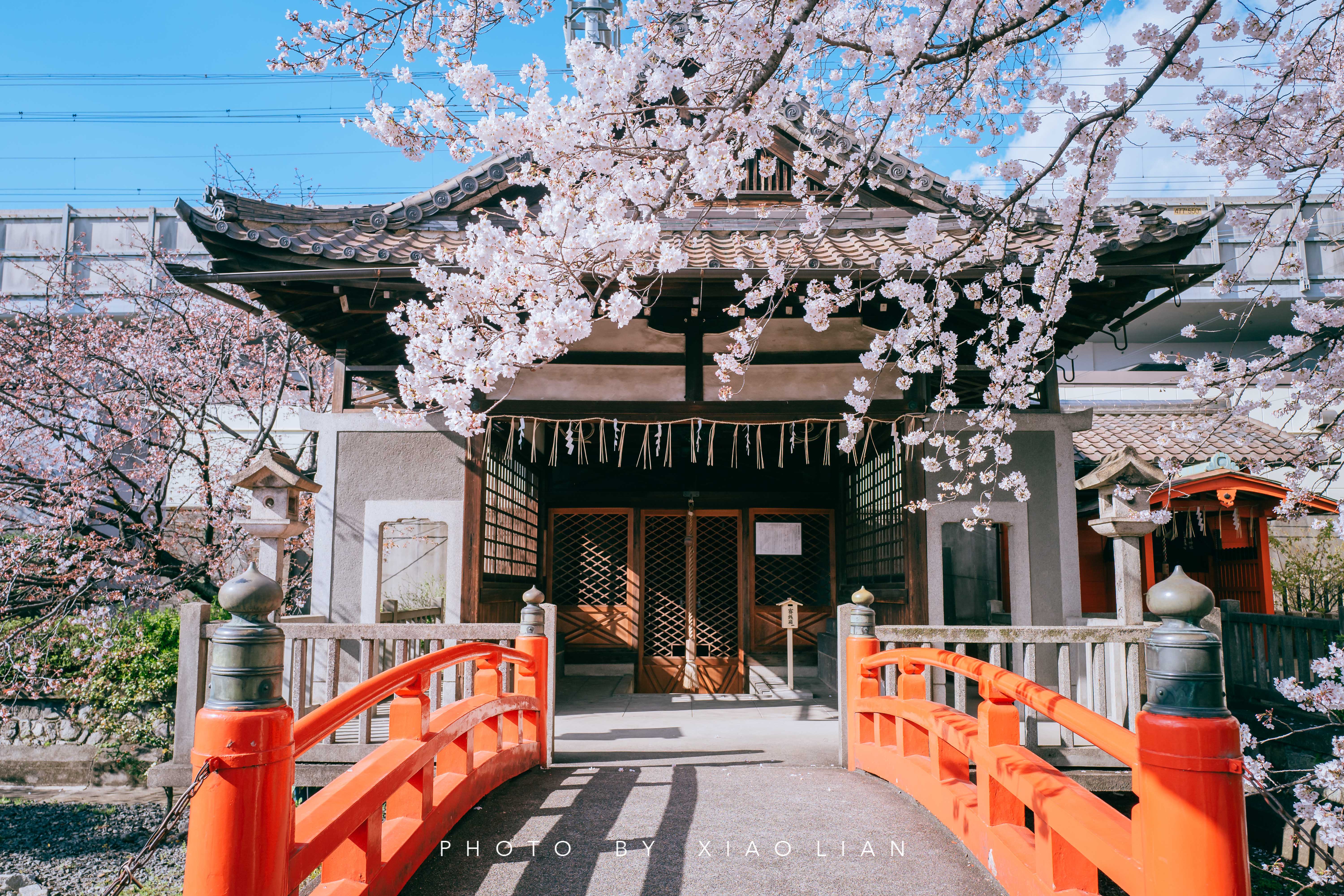 日本 | 慢行关西,赴一场樱之约