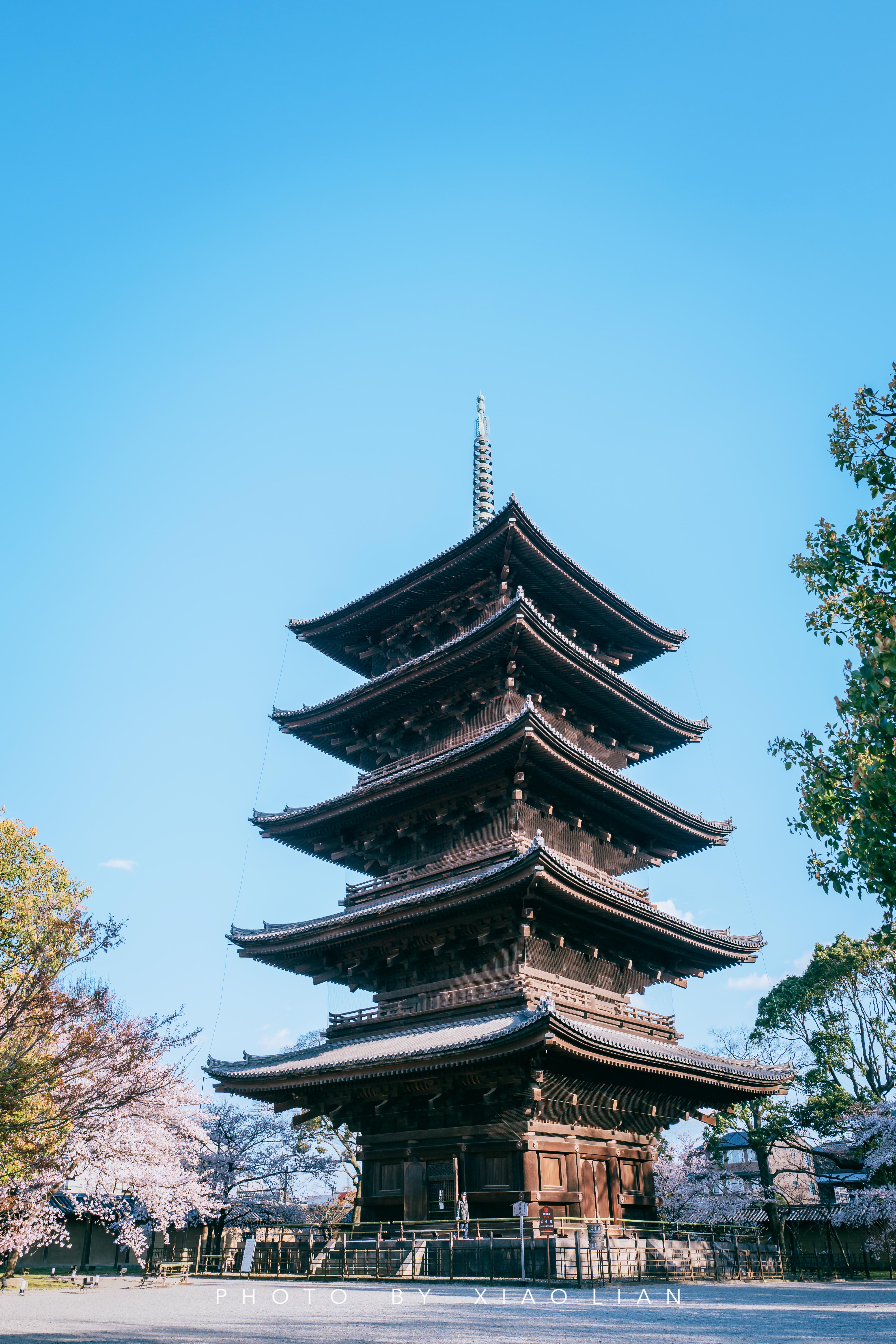 日本 | 慢行关西,赴一场樱之约
