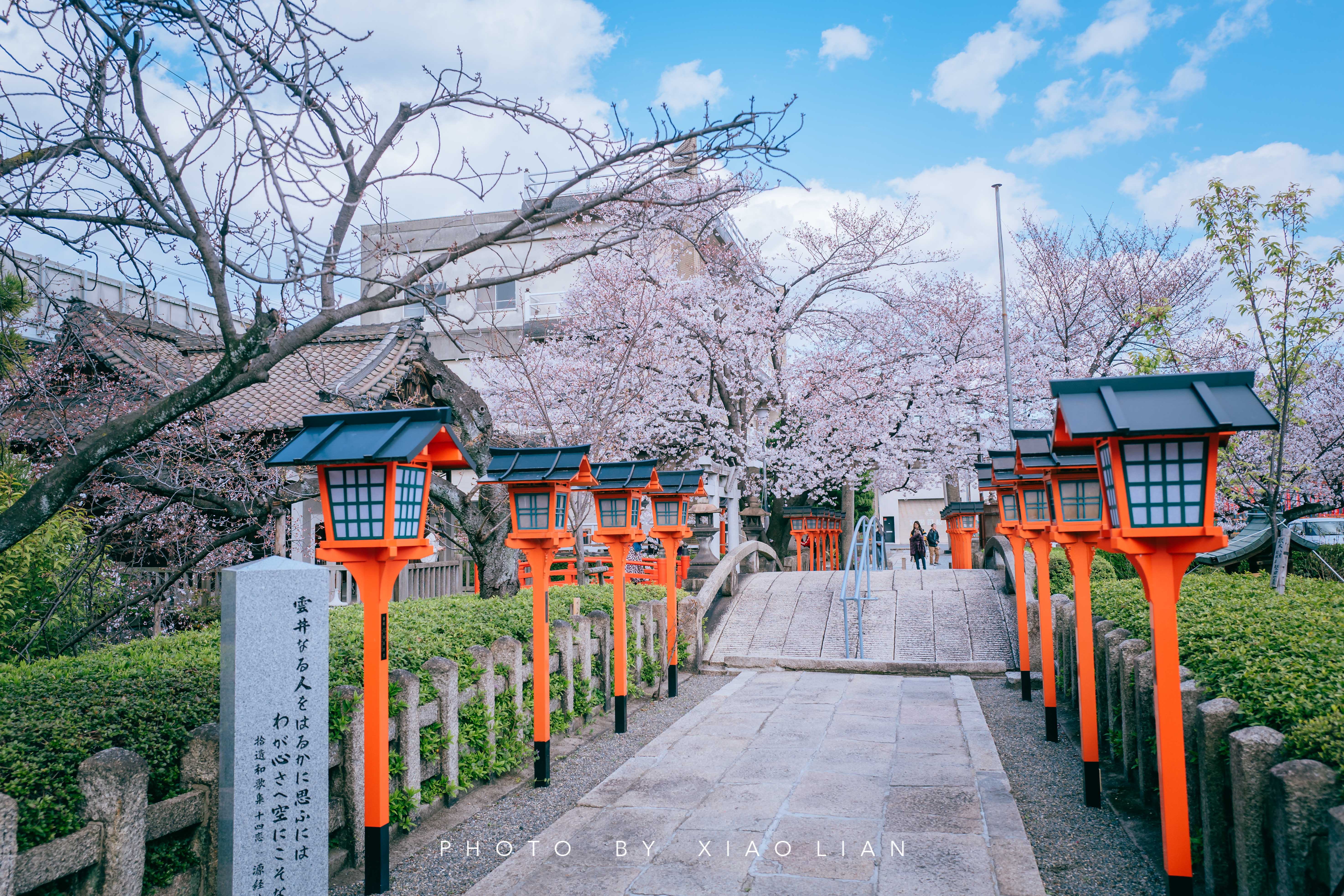 日本 | 慢行关西,赴一场樱之约