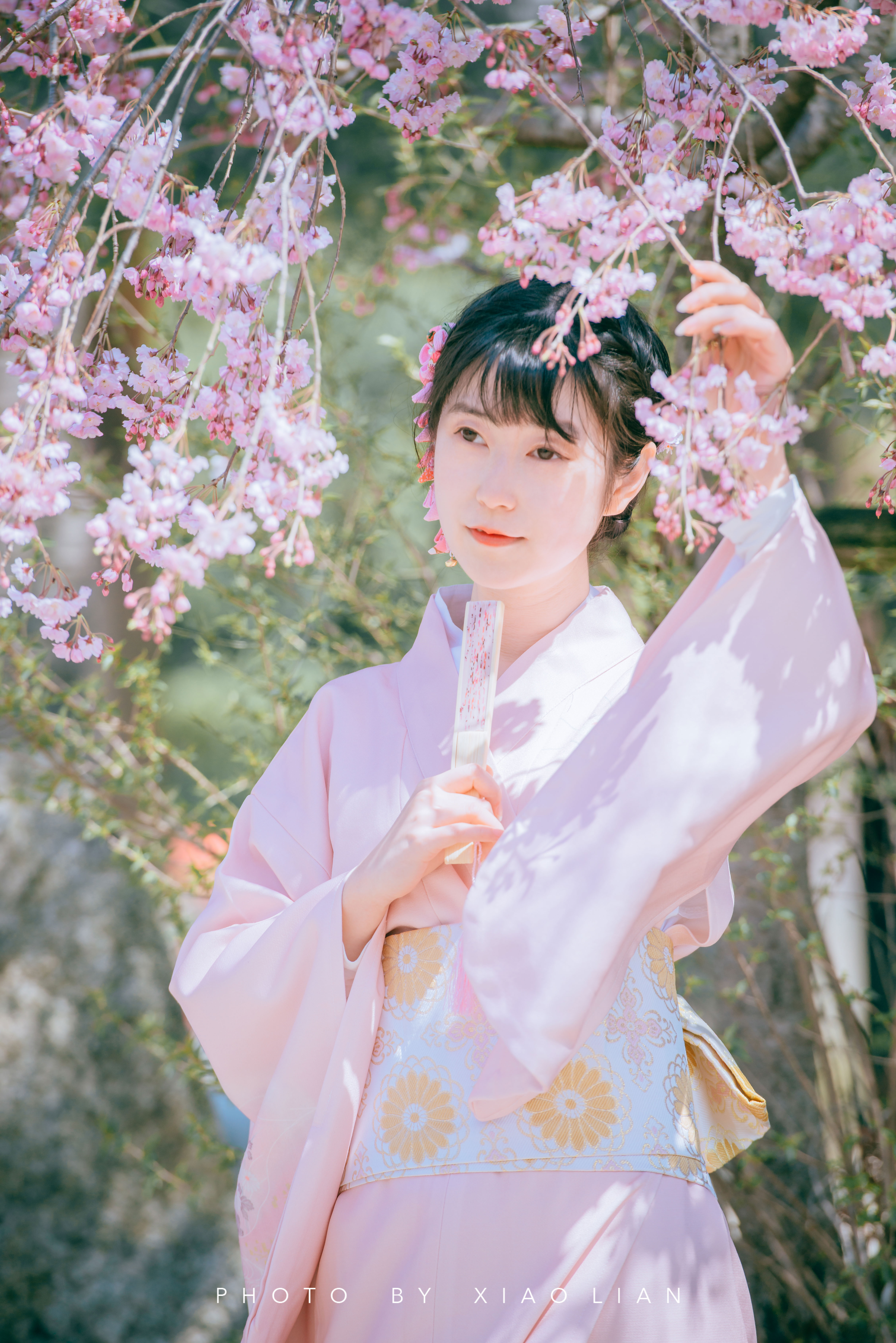 日本 | 慢行关西,赴一场樱之约