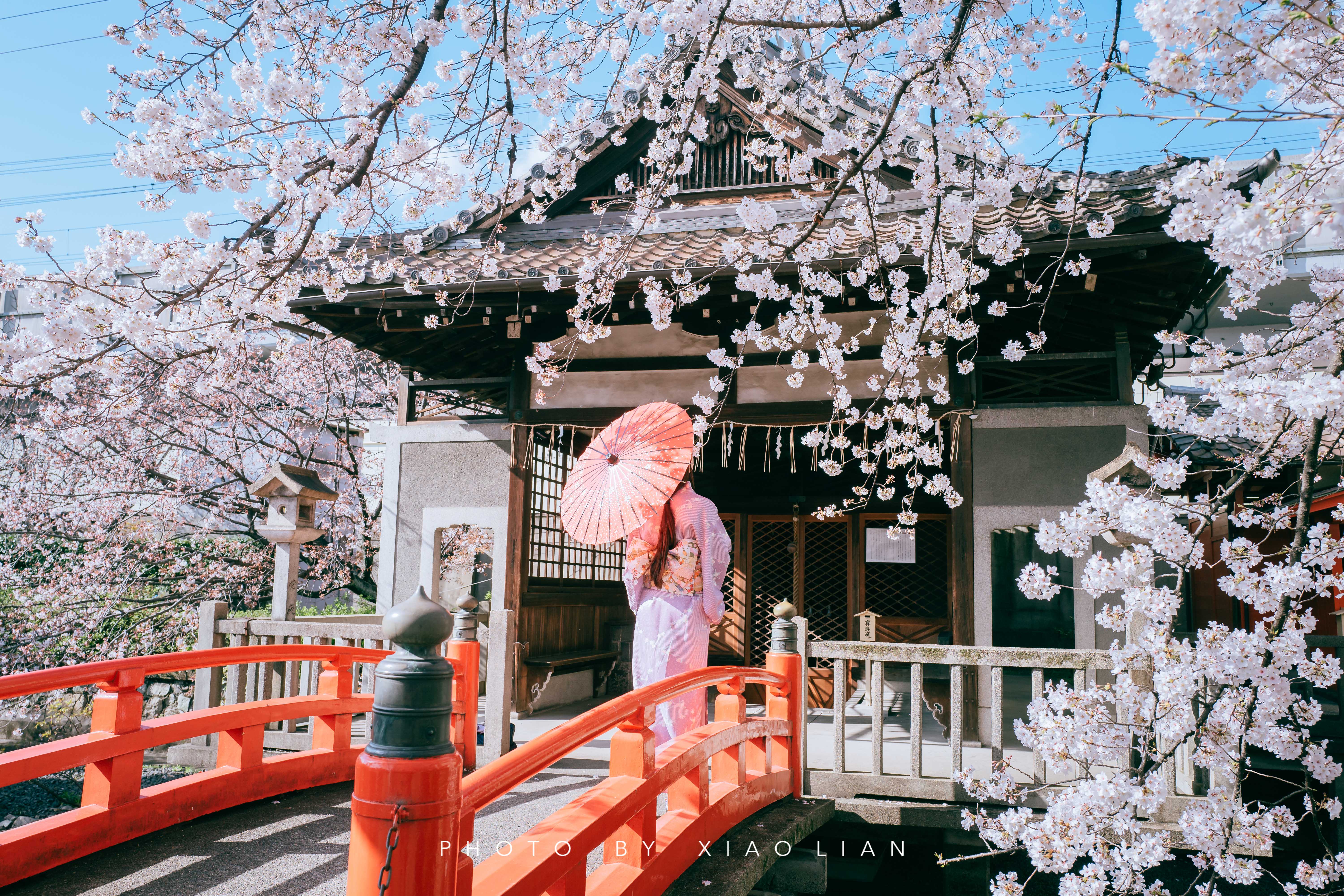 日本 | 慢行关西,赴一场樱之约