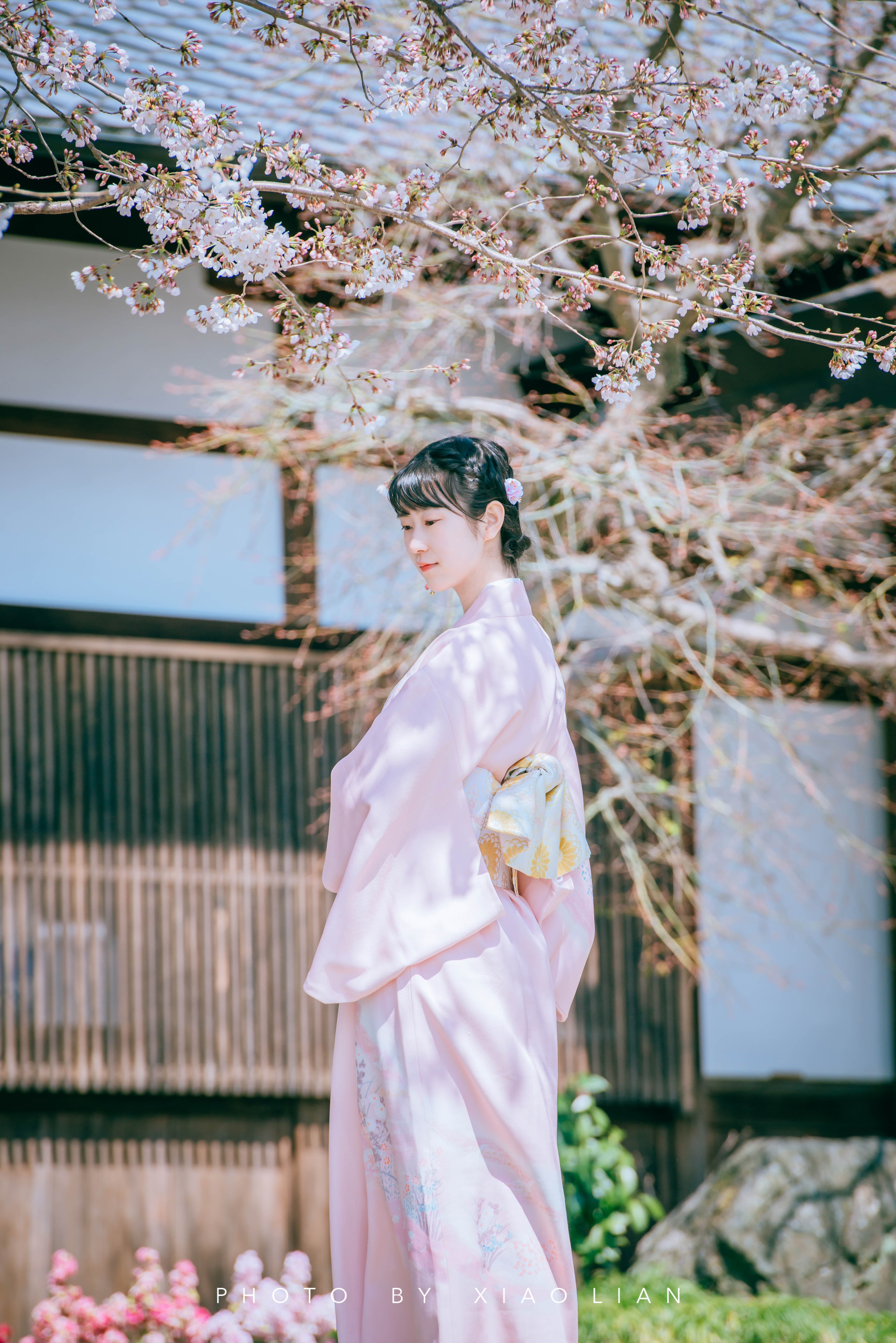 日本 | 慢行关西,赴一场樱之约