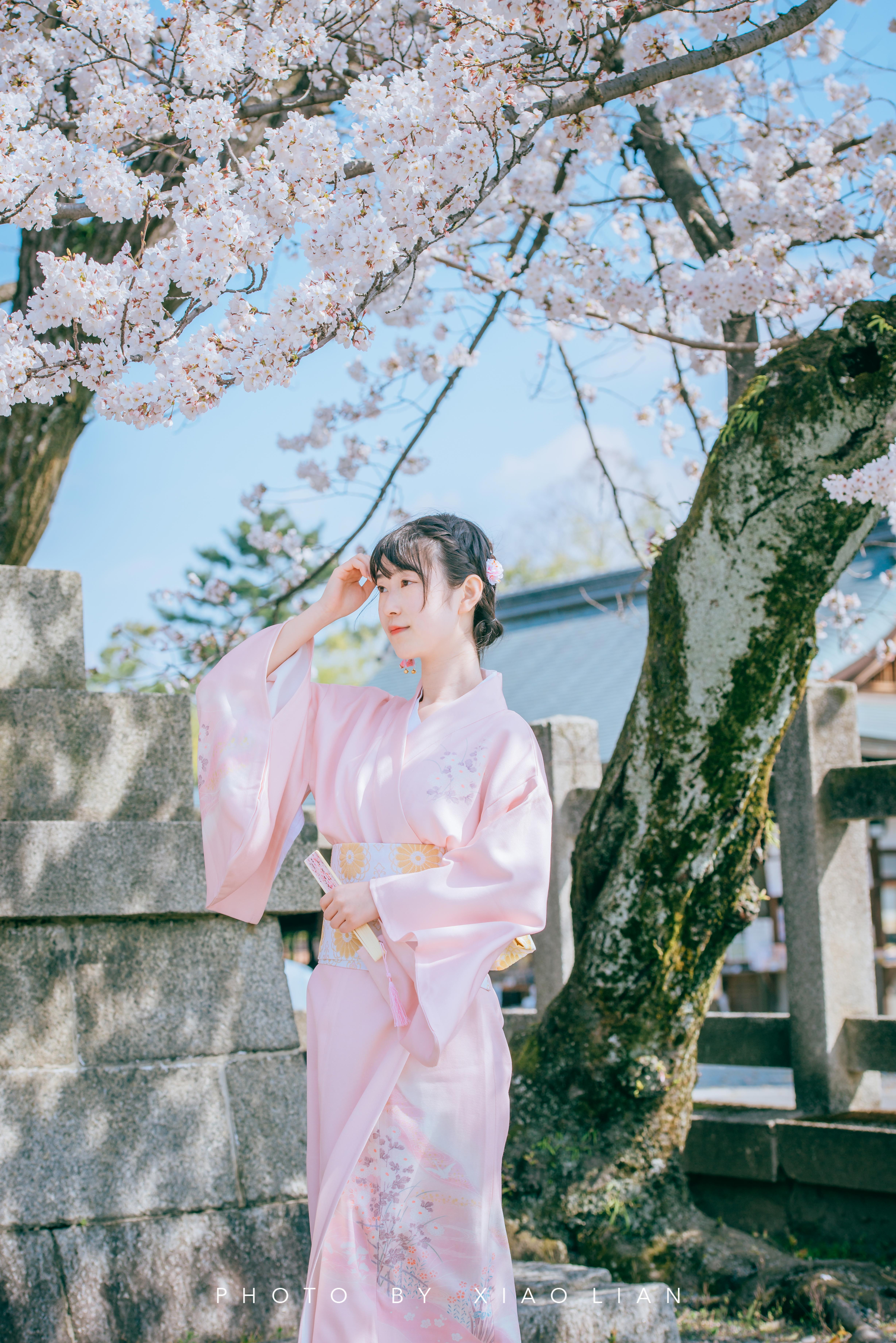 日本 | 慢行关西,赴一场樱之约