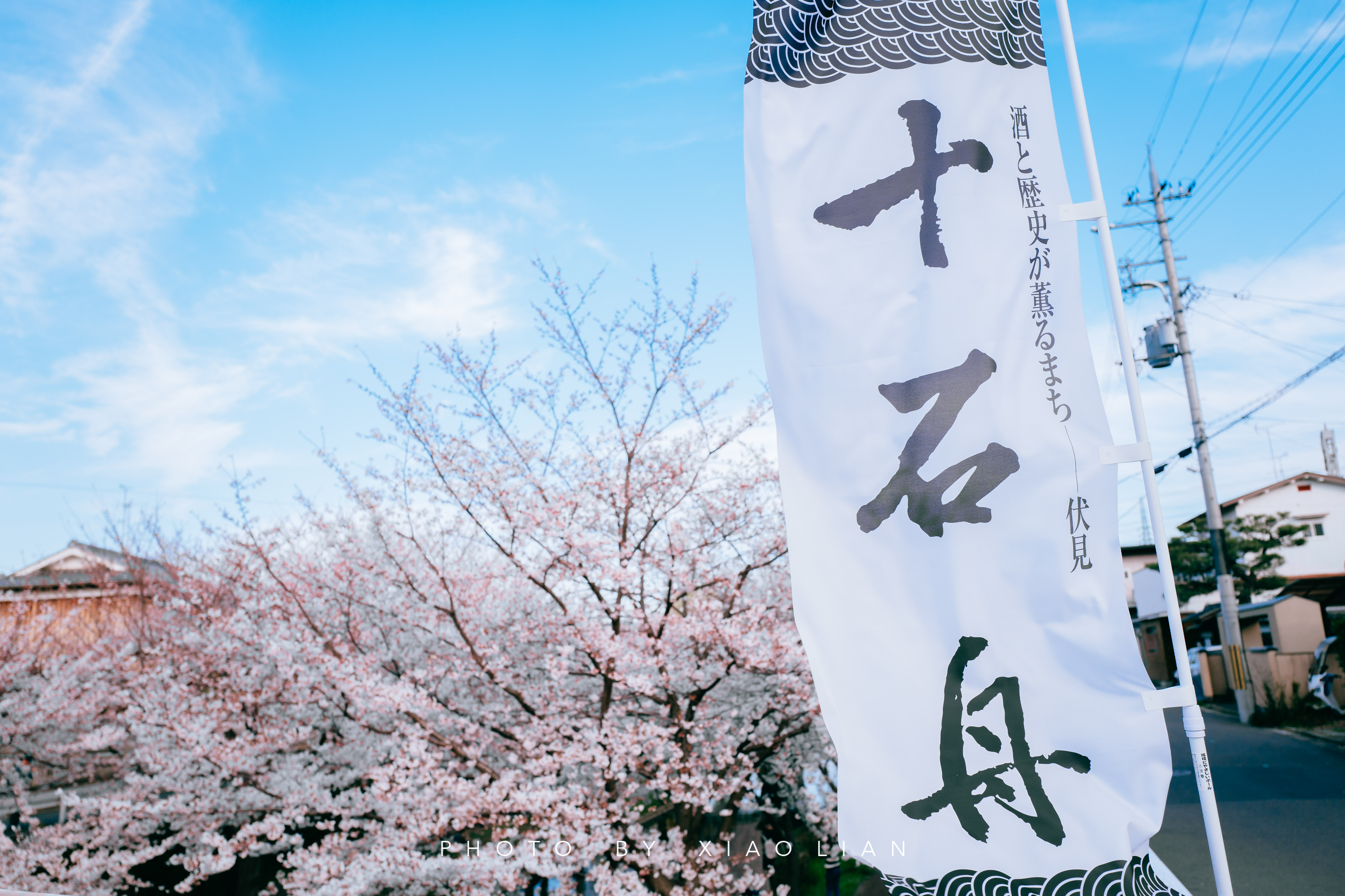 日本 | 慢行关西,赴一场樱之约