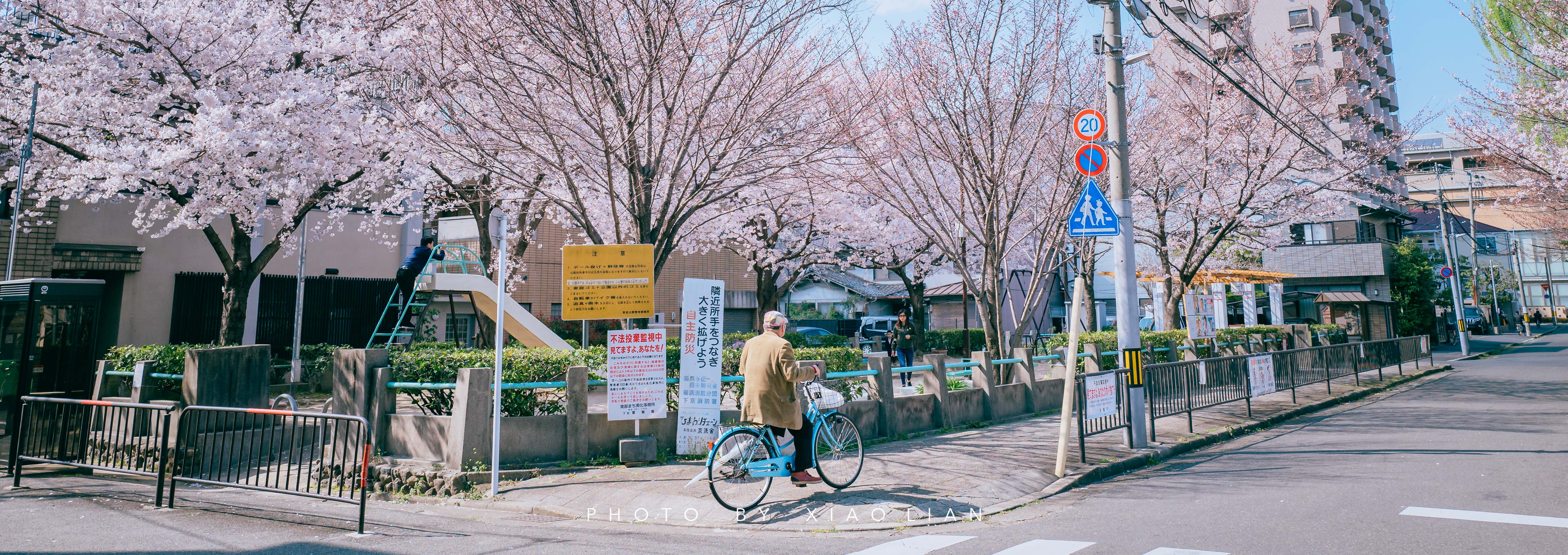 日本 | 慢行关西,赴一场樱之约