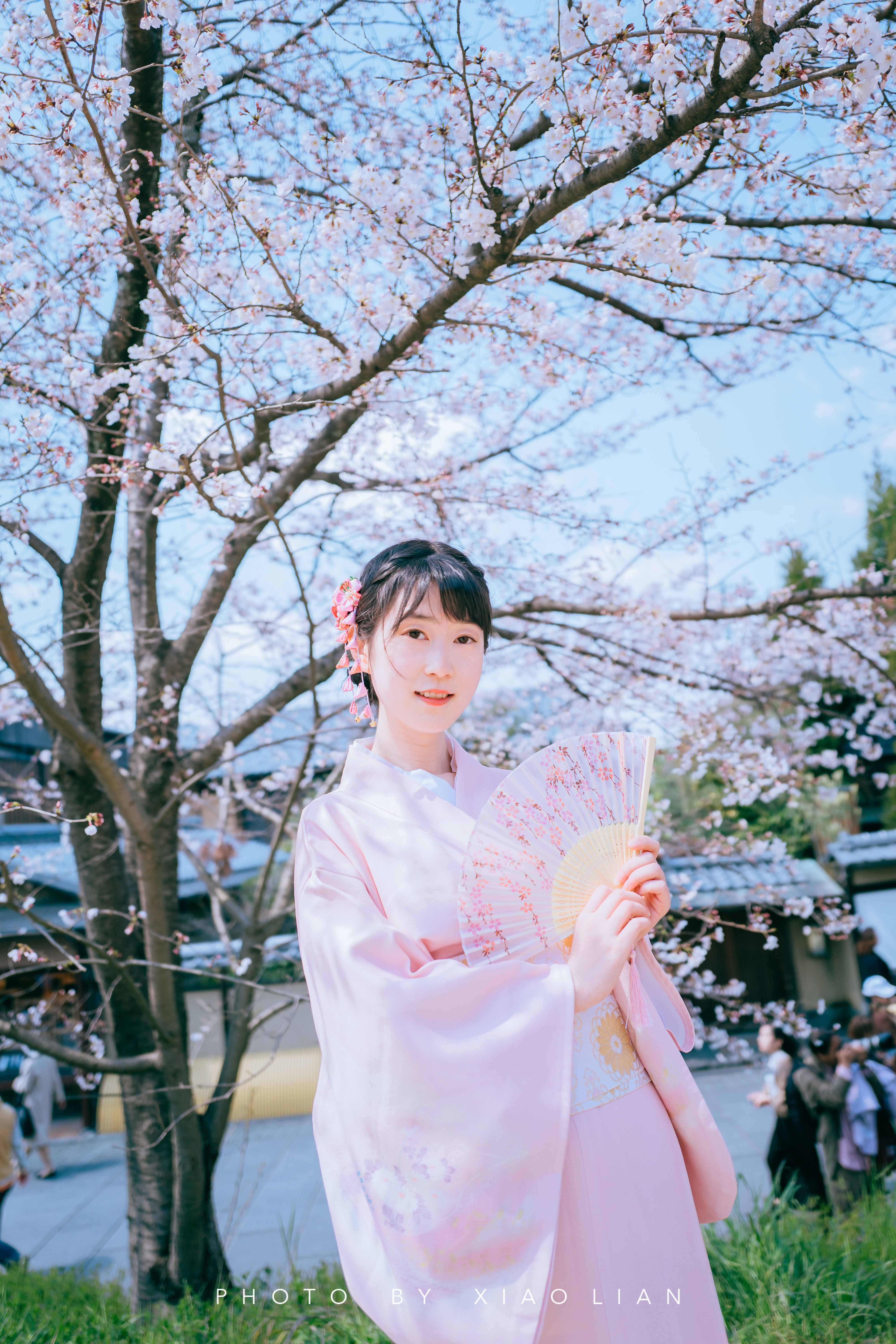 日本 | 慢行关西,赴一场樱之约