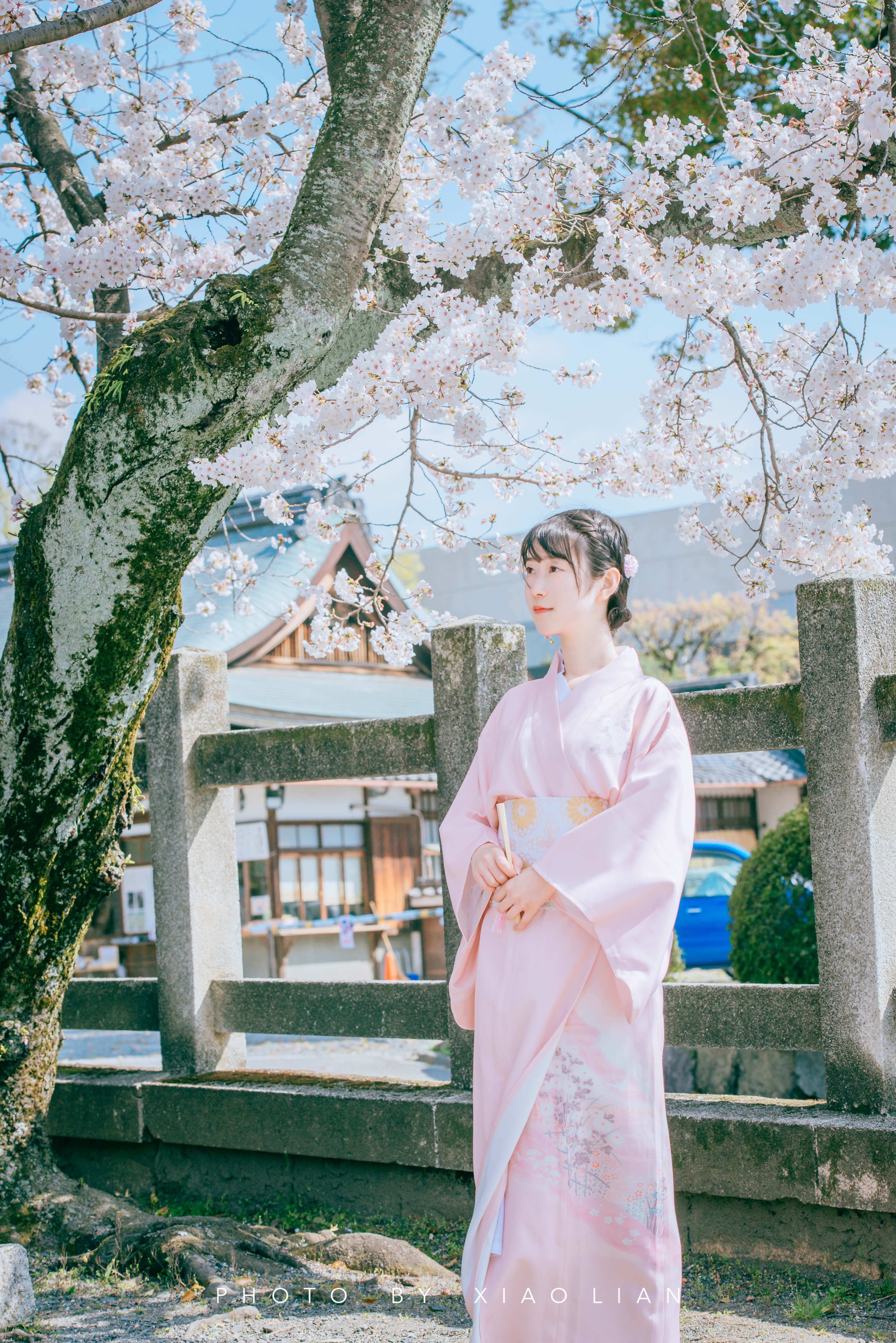 日本 | 慢行关西,赴一场樱之约