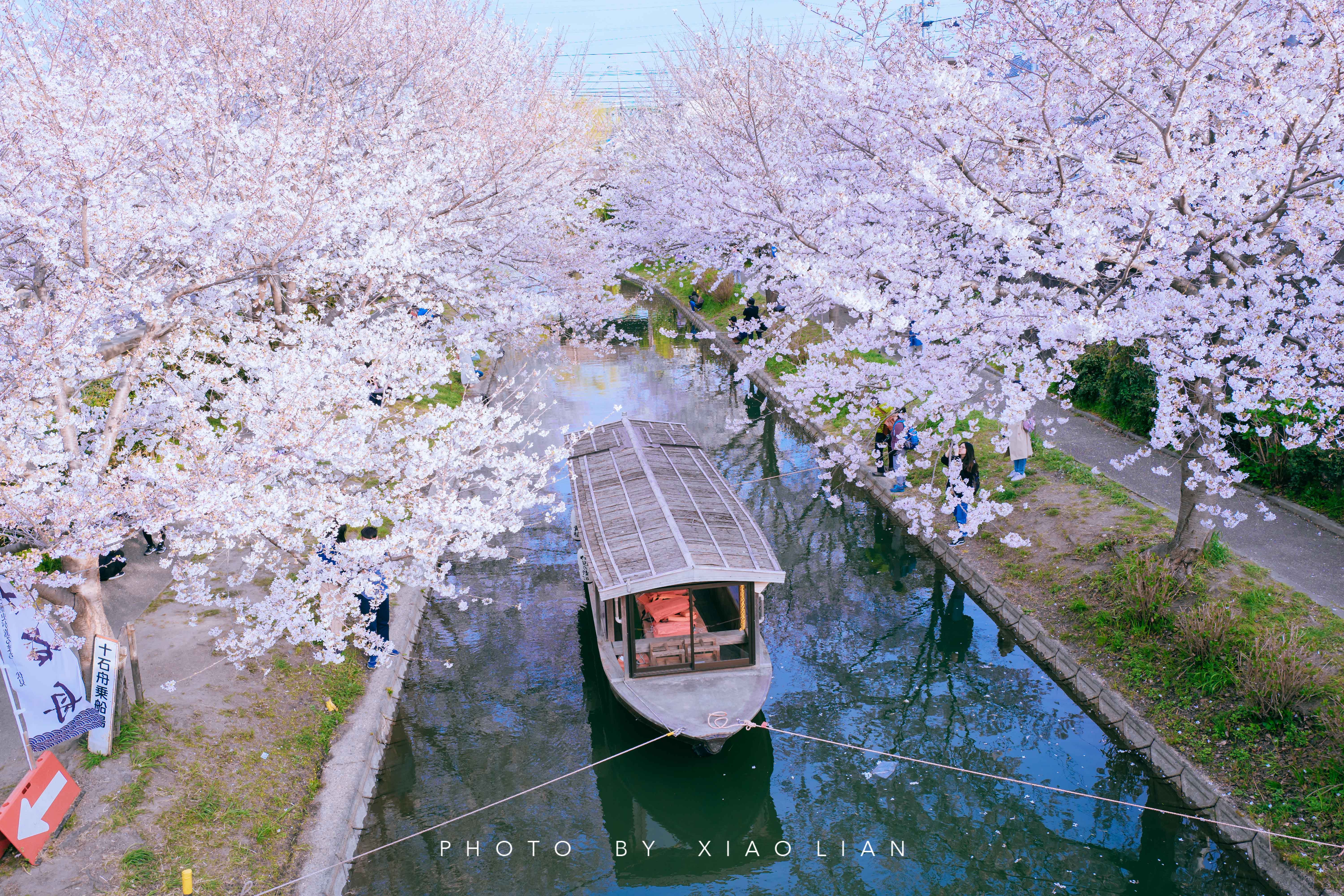 日本 | 慢行关西,赴一场樱之约