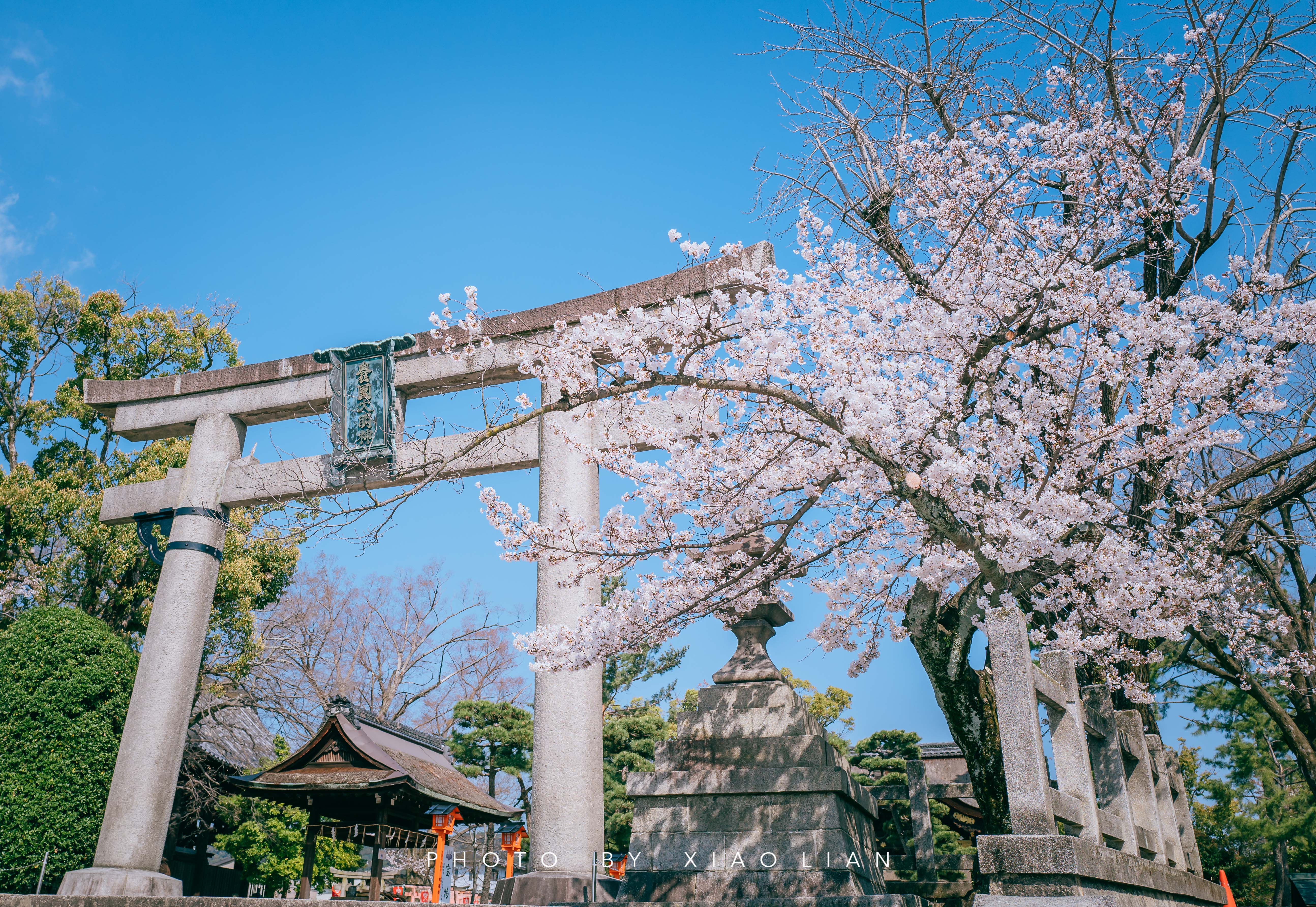 日本 | 慢行关西,赴一场樱之约