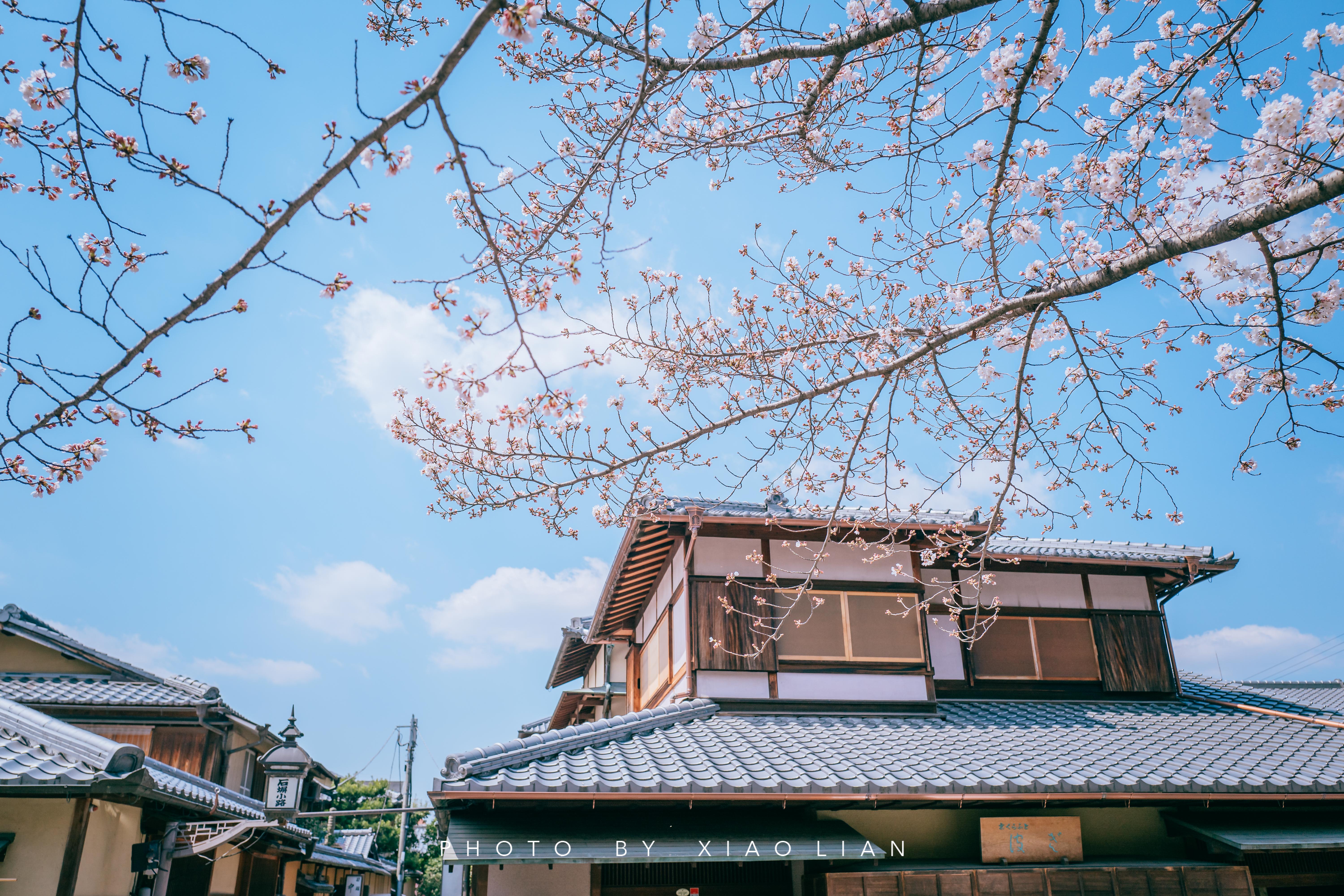 日本 | 慢行关西,赴一场樱之约
