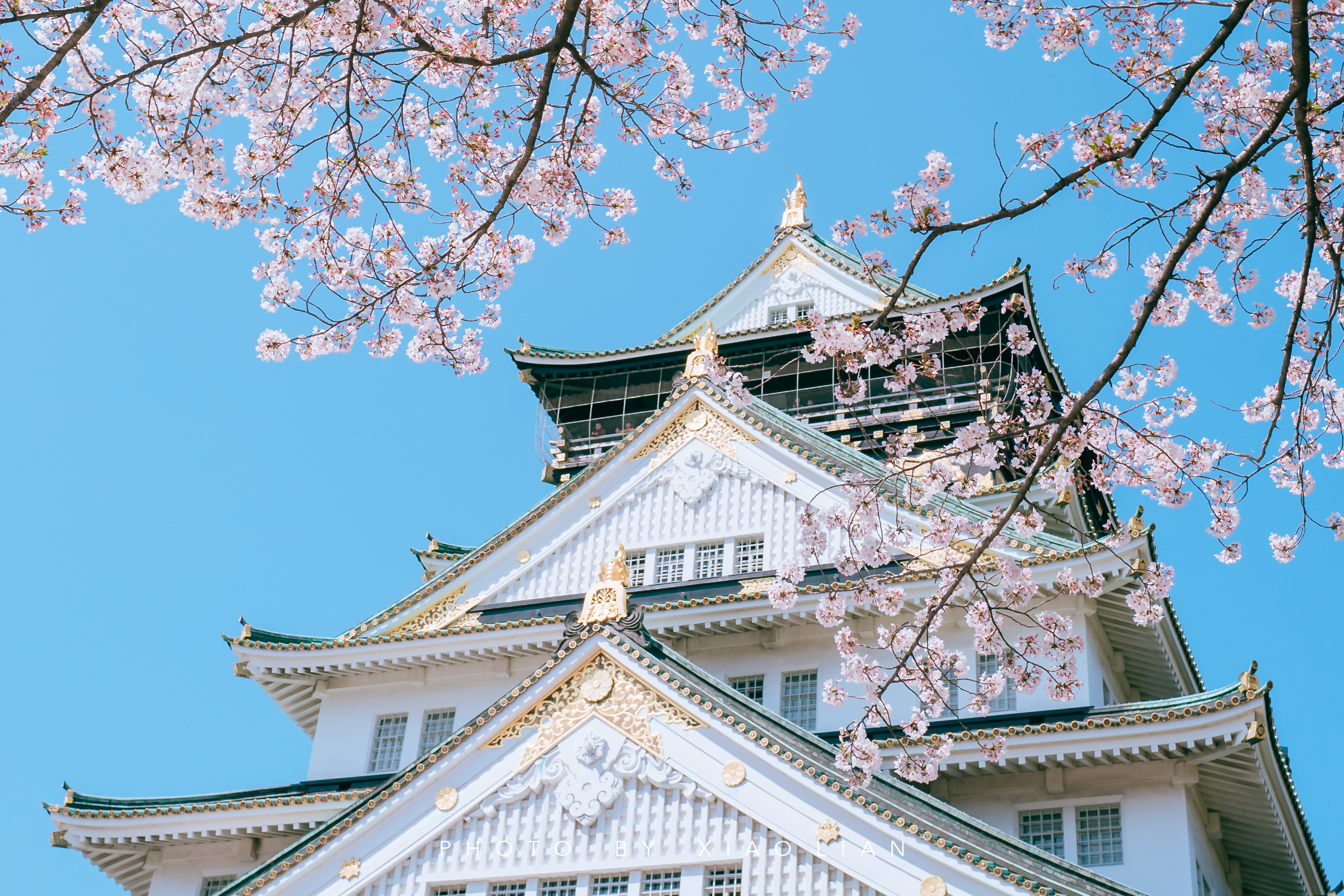 日本 | 慢行关西,赴一场樱之约