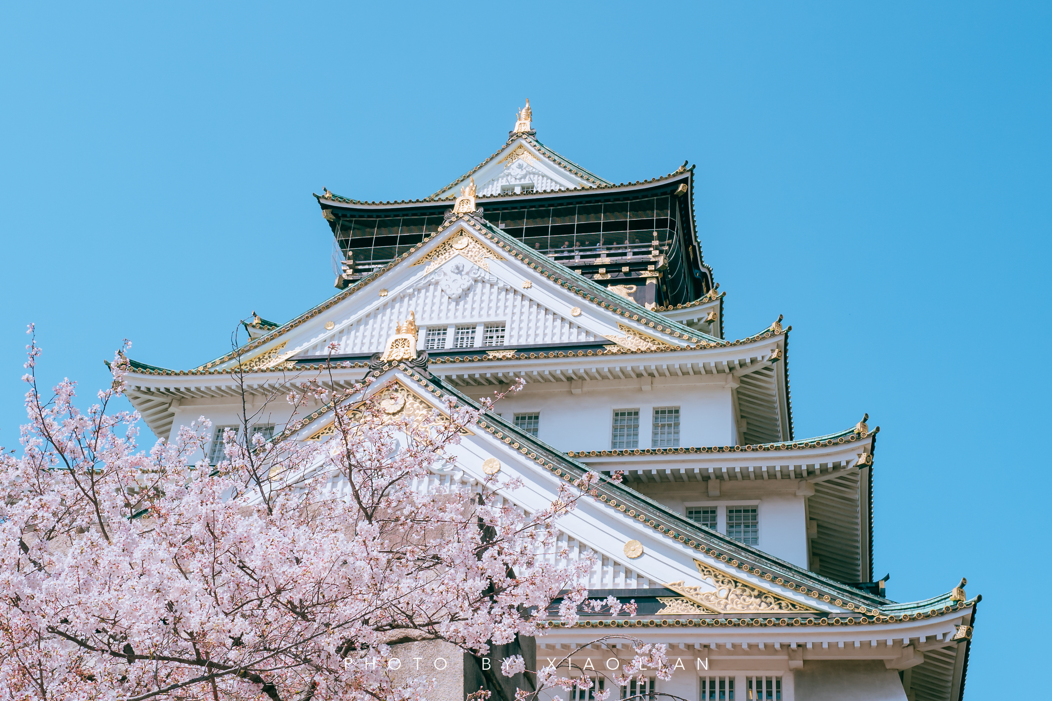 日本 | 慢行关西,赴一场樱之约