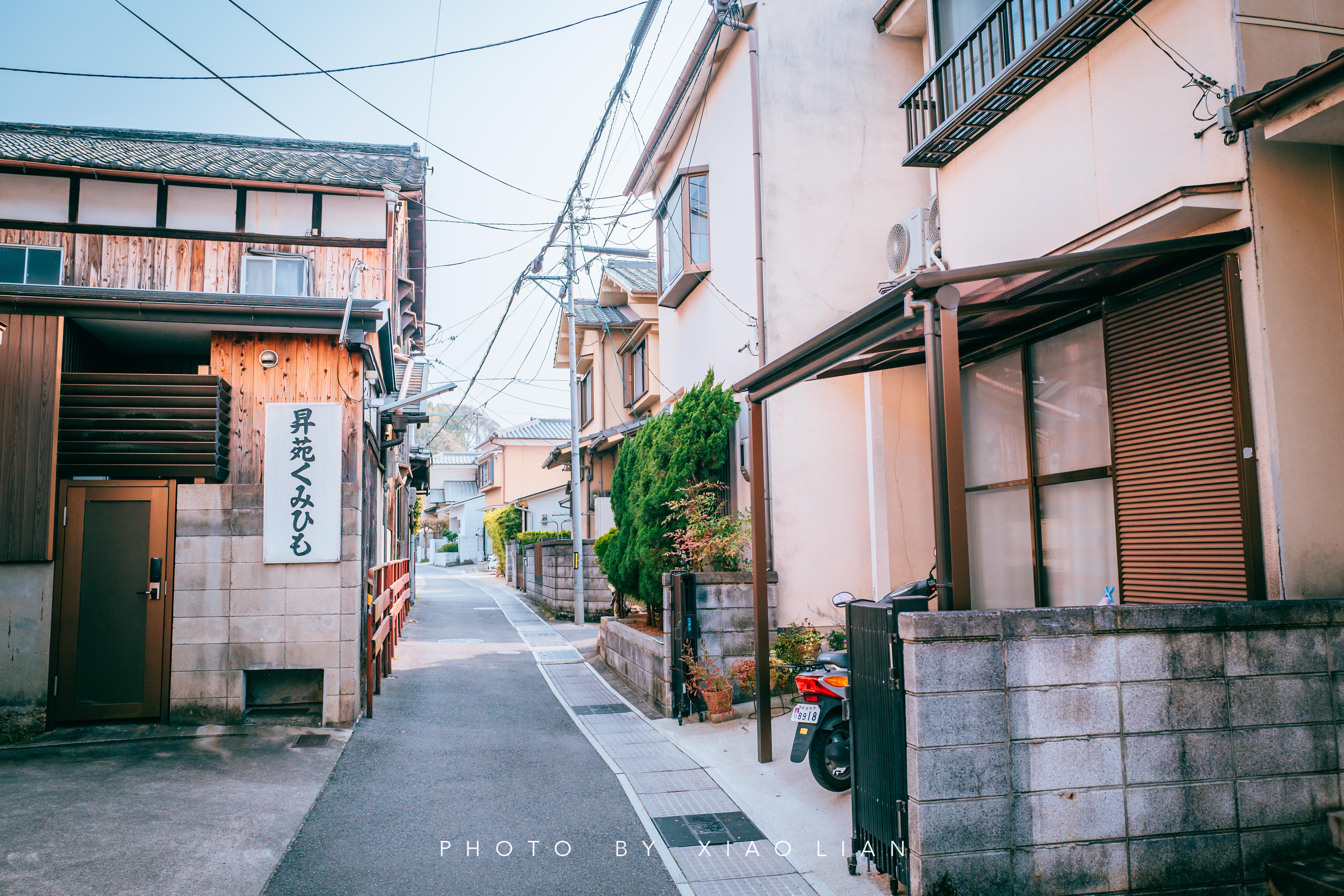 日本 | 慢行关西,赴一场樱之约