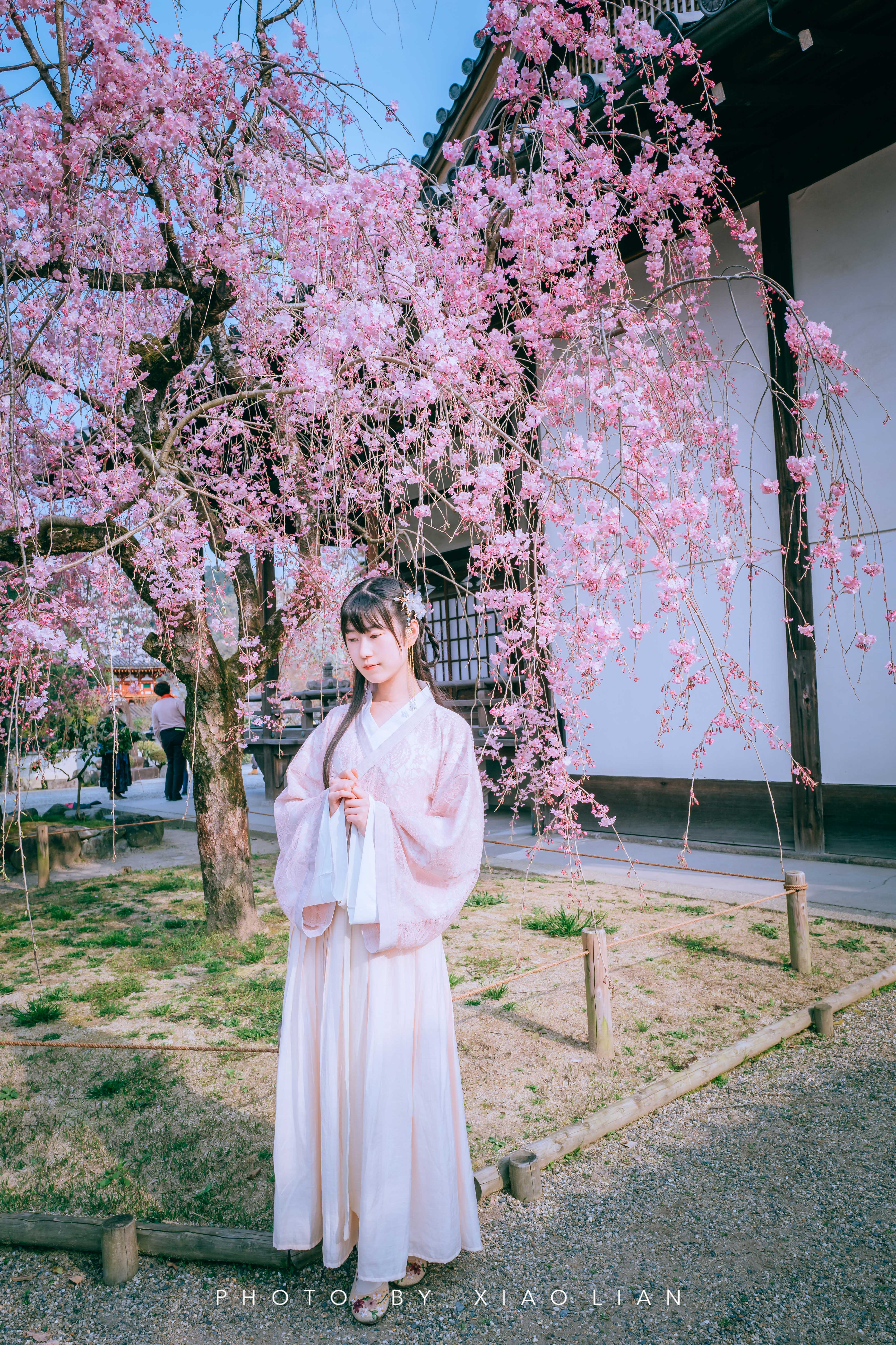 日本 | 慢行关西,赴一场樱之约
