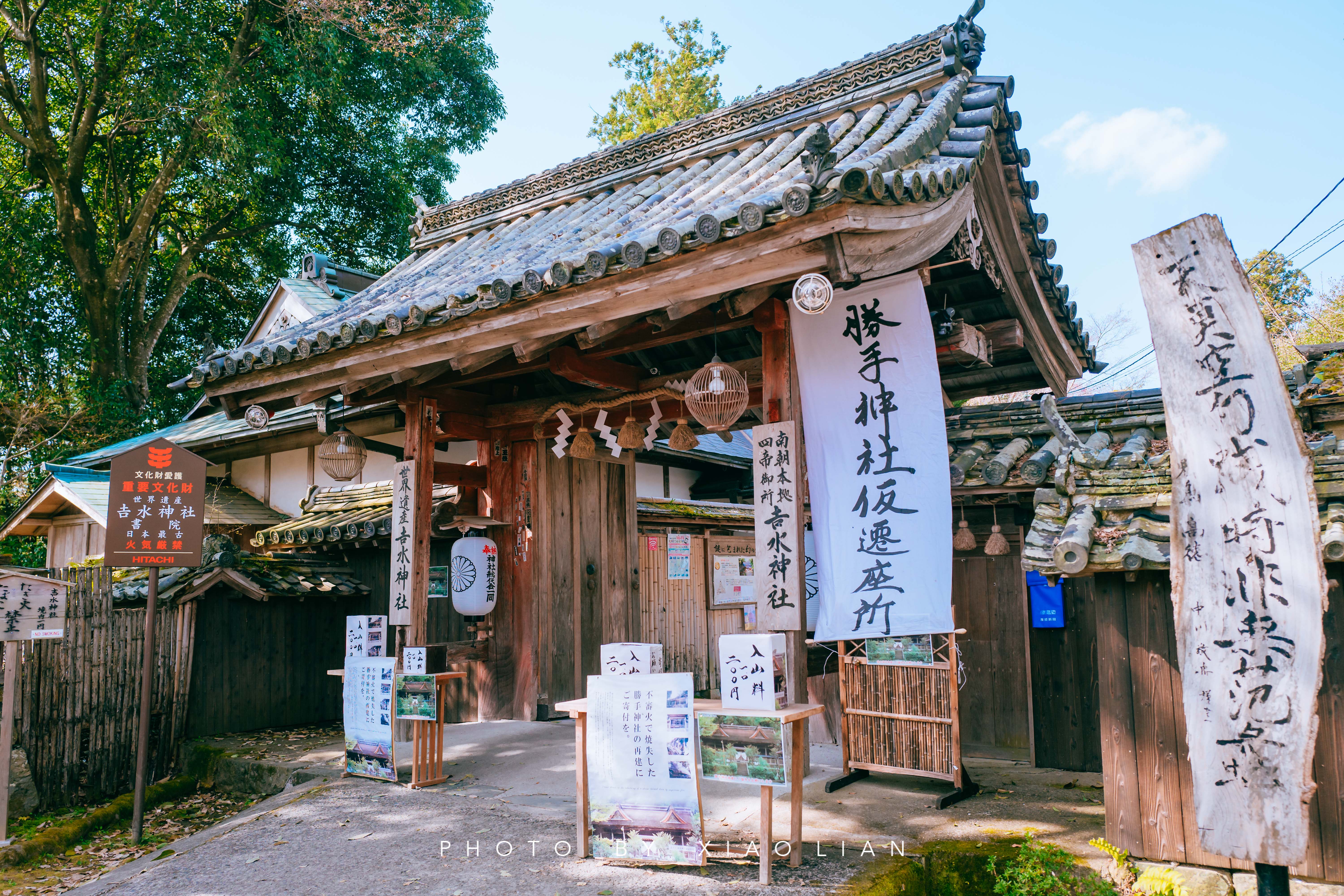 日本 | 慢行关西,赴一场樱之约
