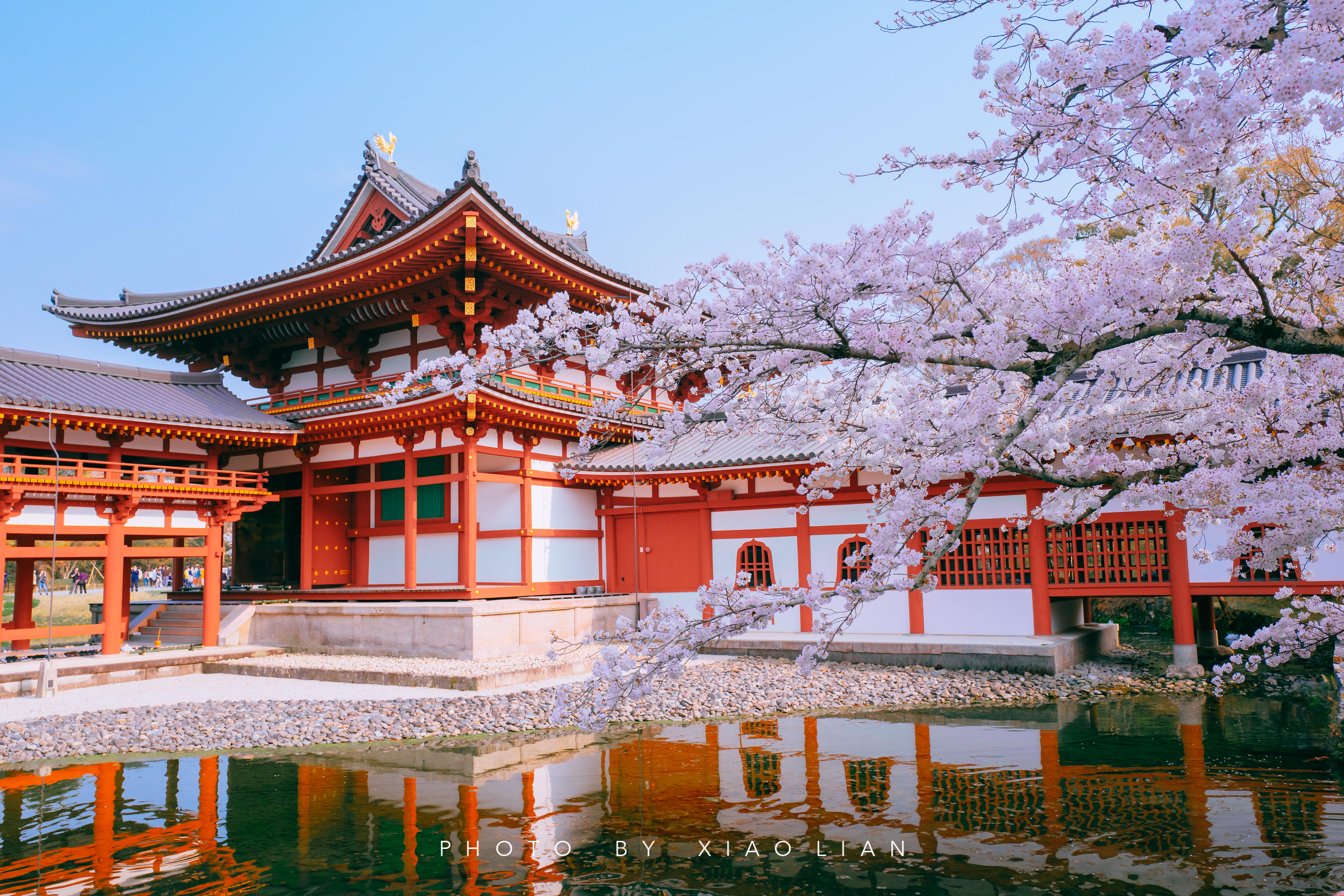 日本 | 慢行关西,赴一场樱之约