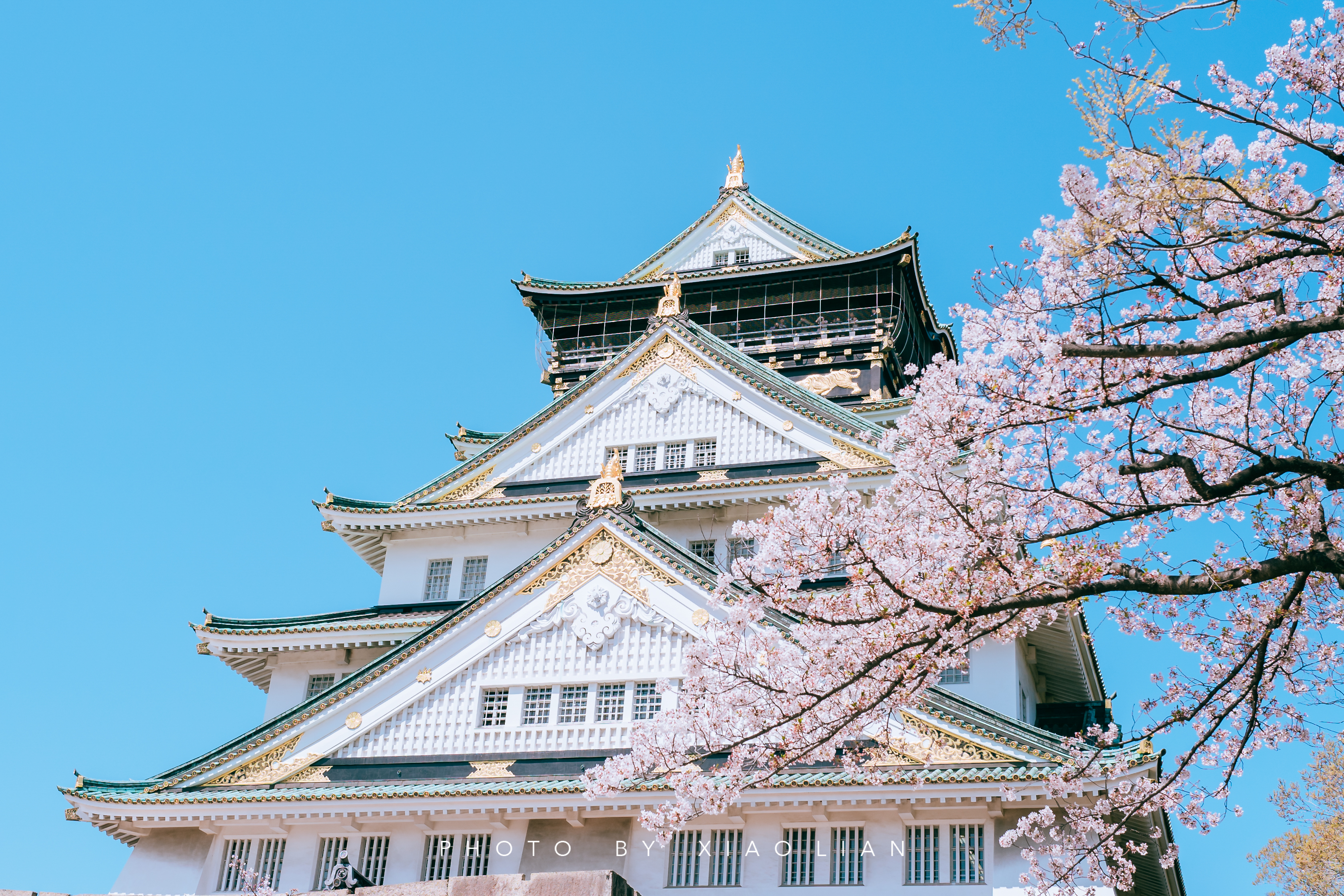日本 | 慢行关西,赴一场樱之约