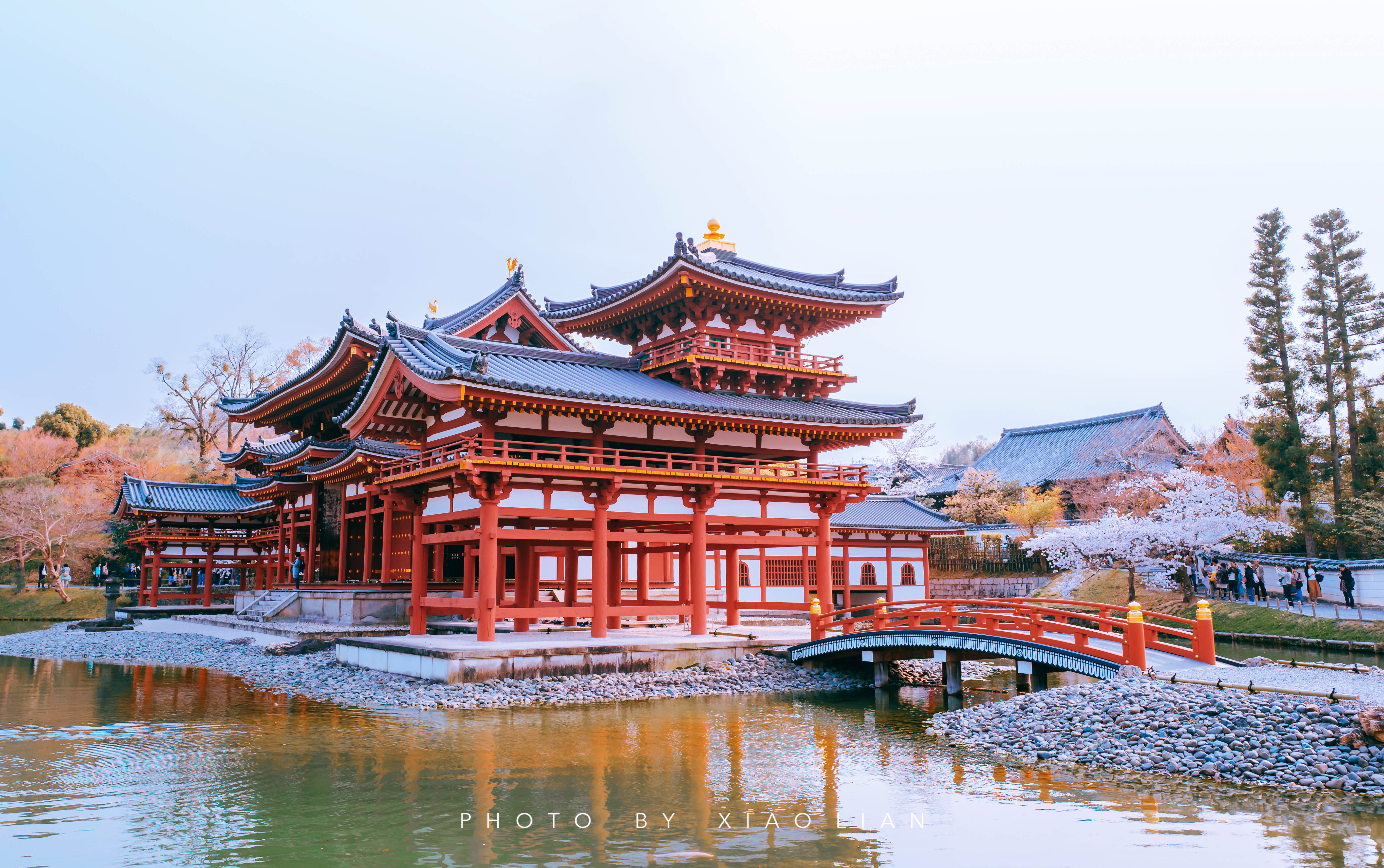 日本 | 慢行关西,赴一场樱之约