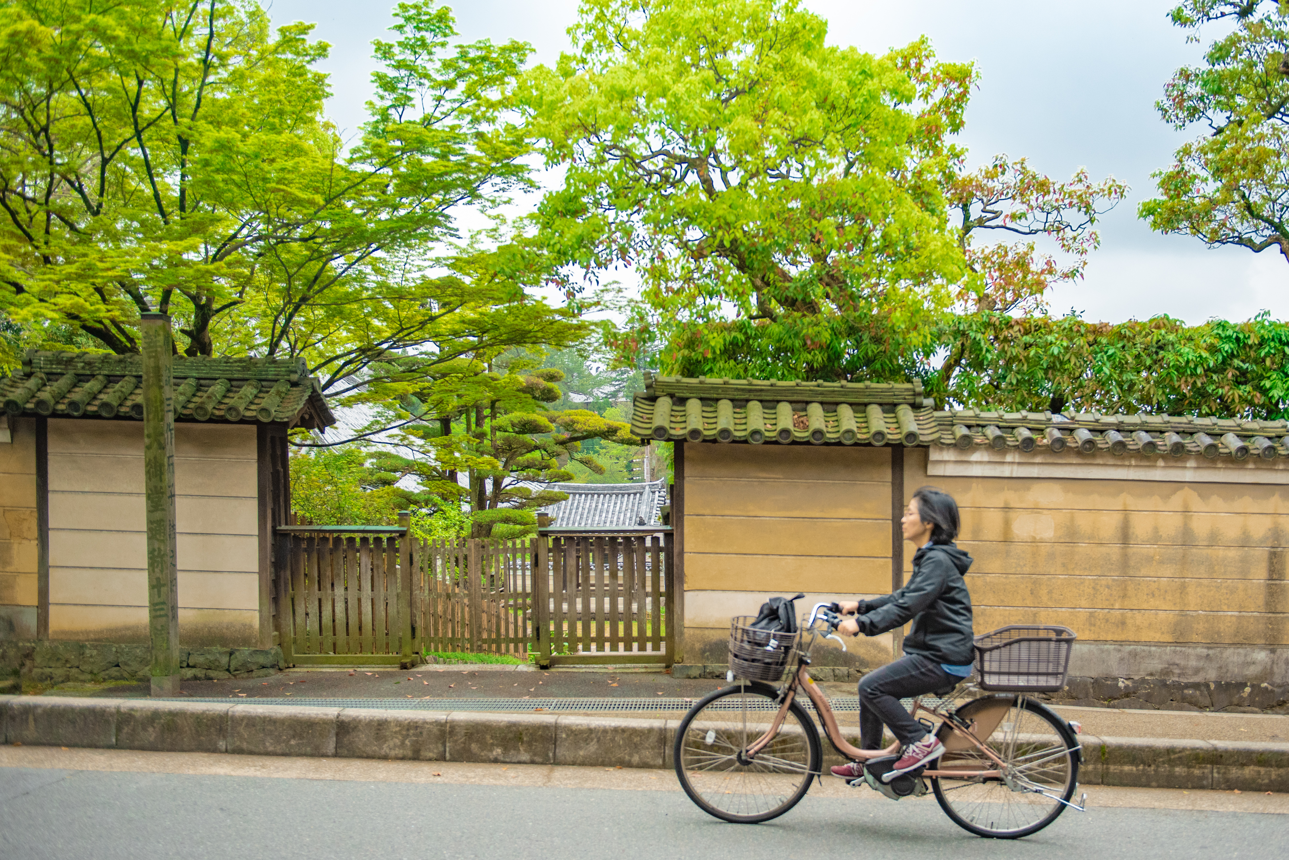 日本关西行 奈良、大阪、京都全部都不可以少(美图干货推荐)