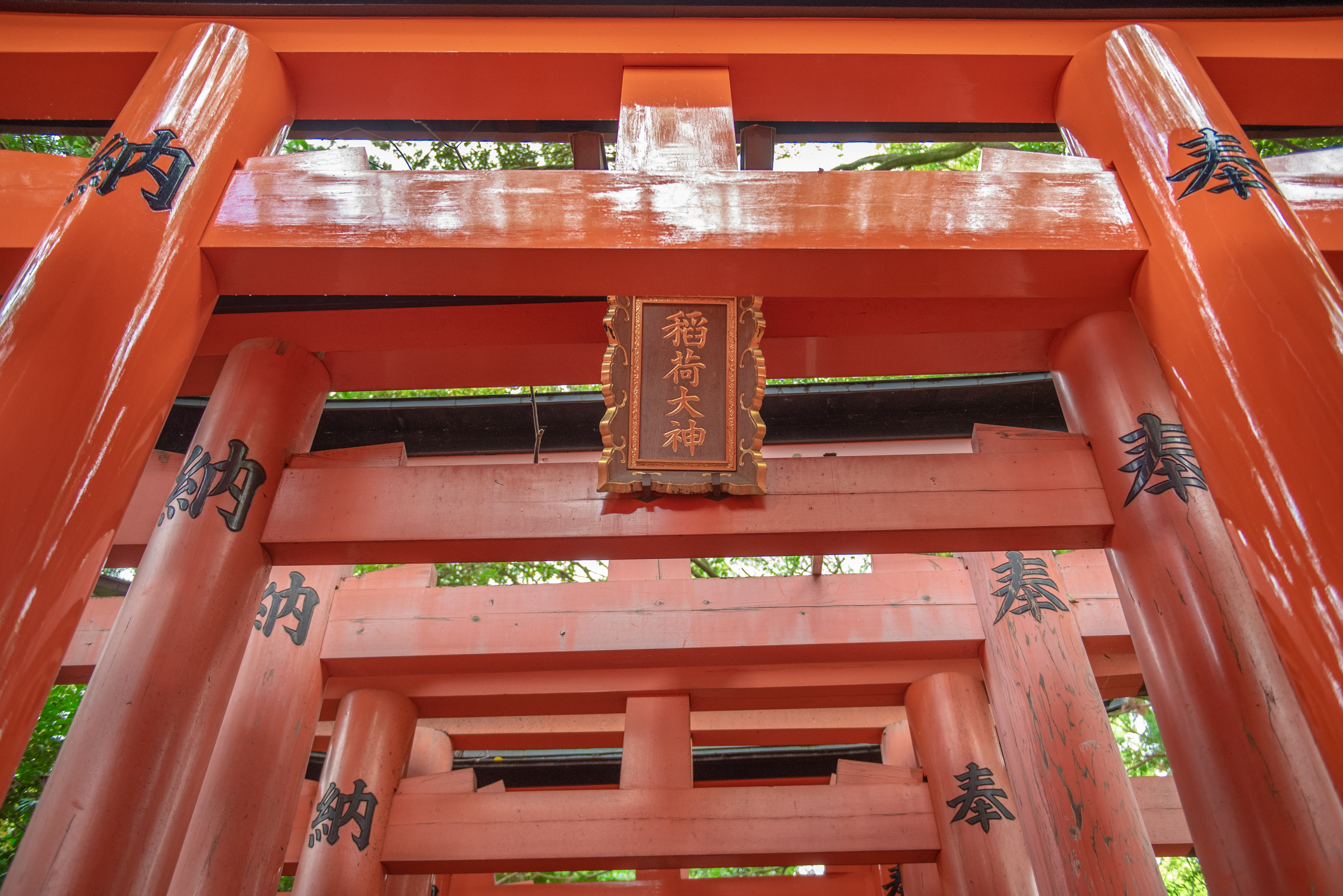 日本关西行 奈良、大阪、京都全部都不可以少(美图干货推荐)