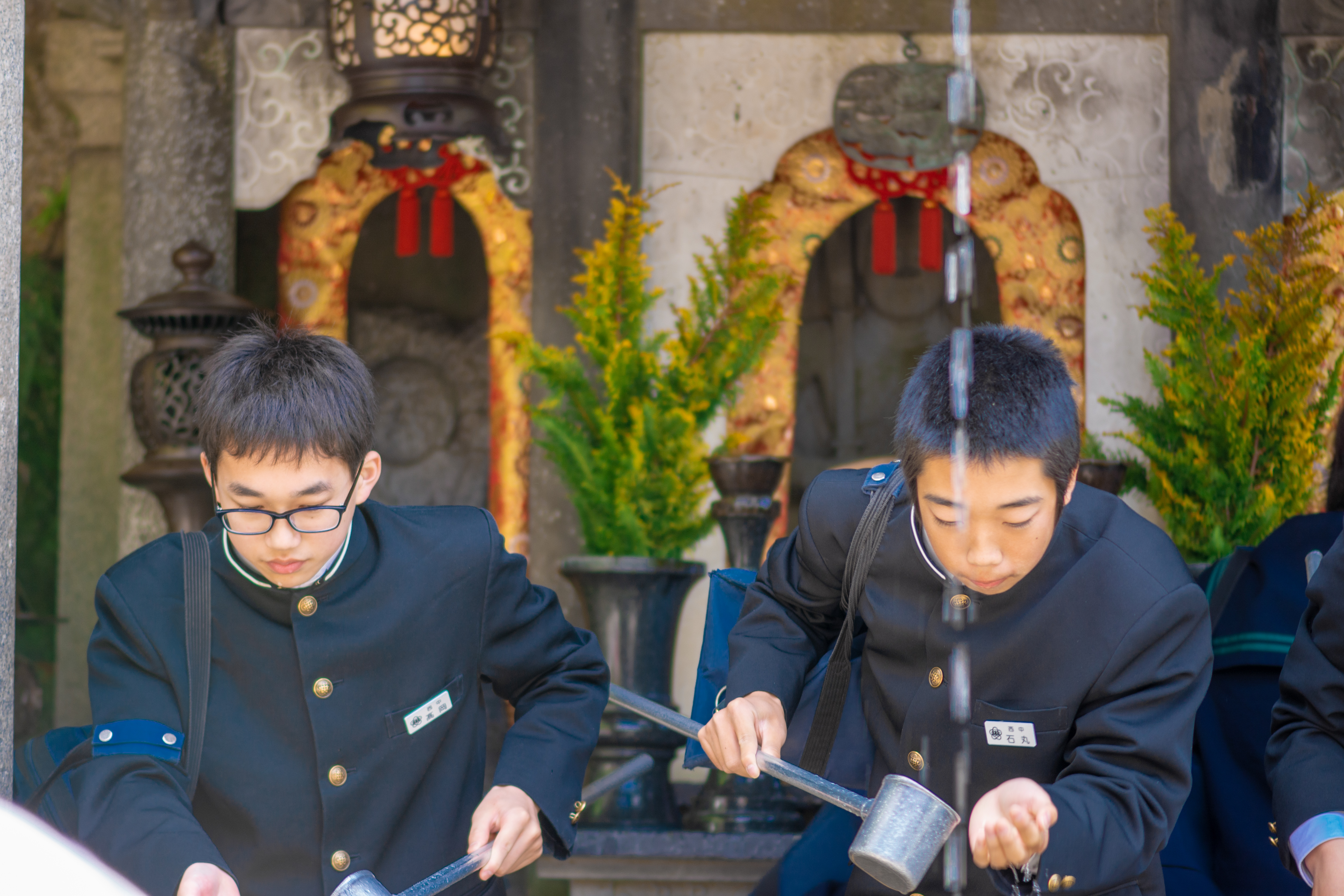 日本关西行 奈良、大阪、京都全部都不可以少(美图干货推荐)
