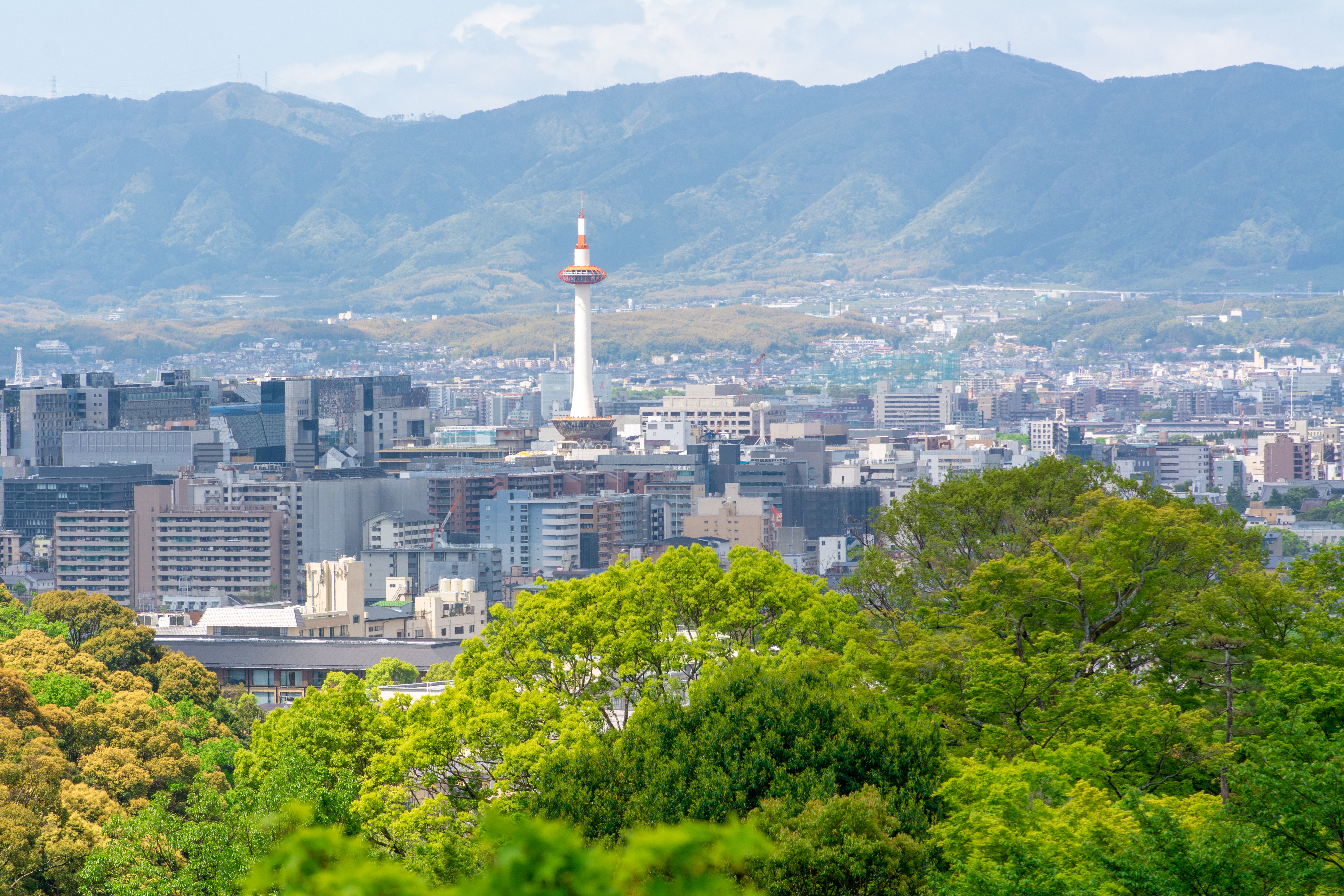 日本关西行 奈良、大阪、京都全部都不可以少(美图干货推荐)