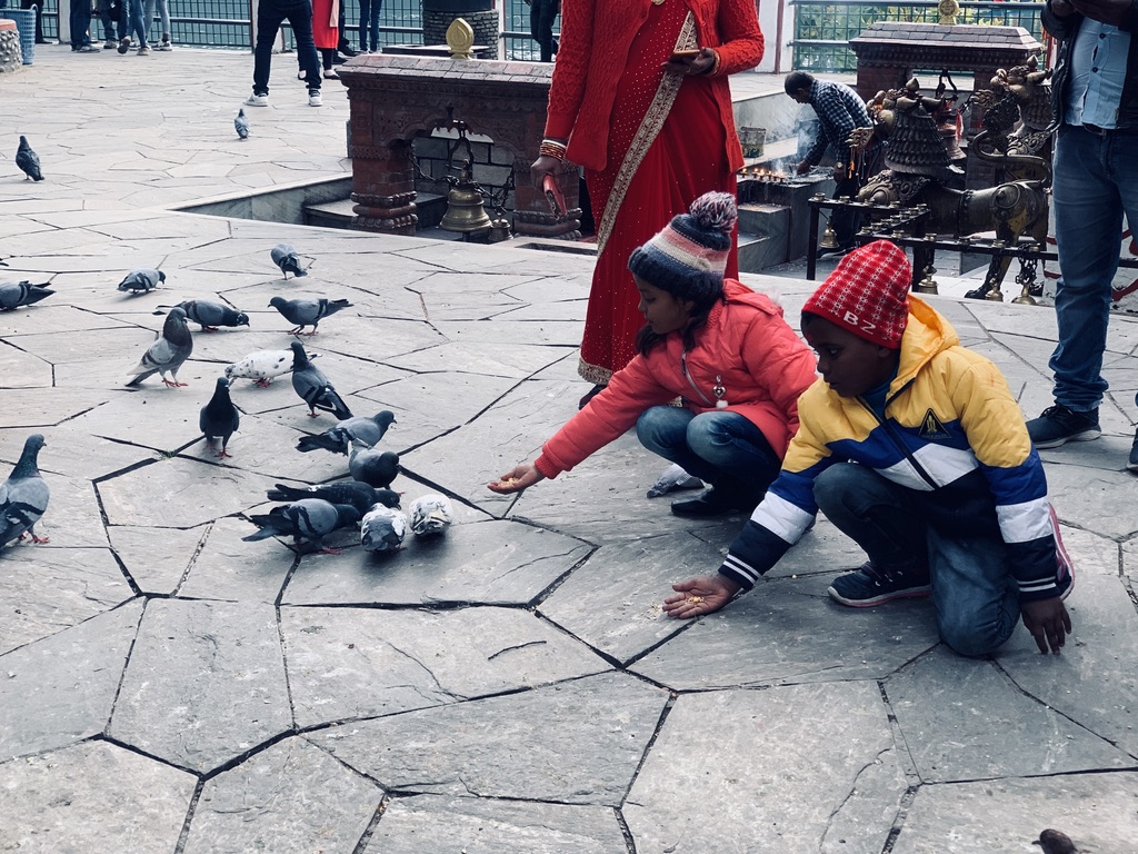 修心之旅-尼泊尔