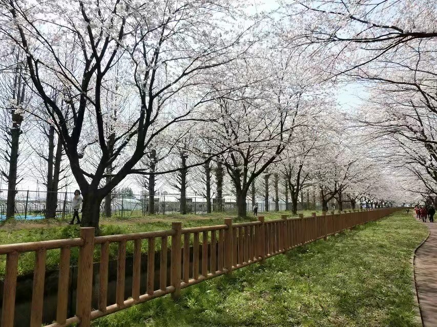 #游侠报道#且行且歌