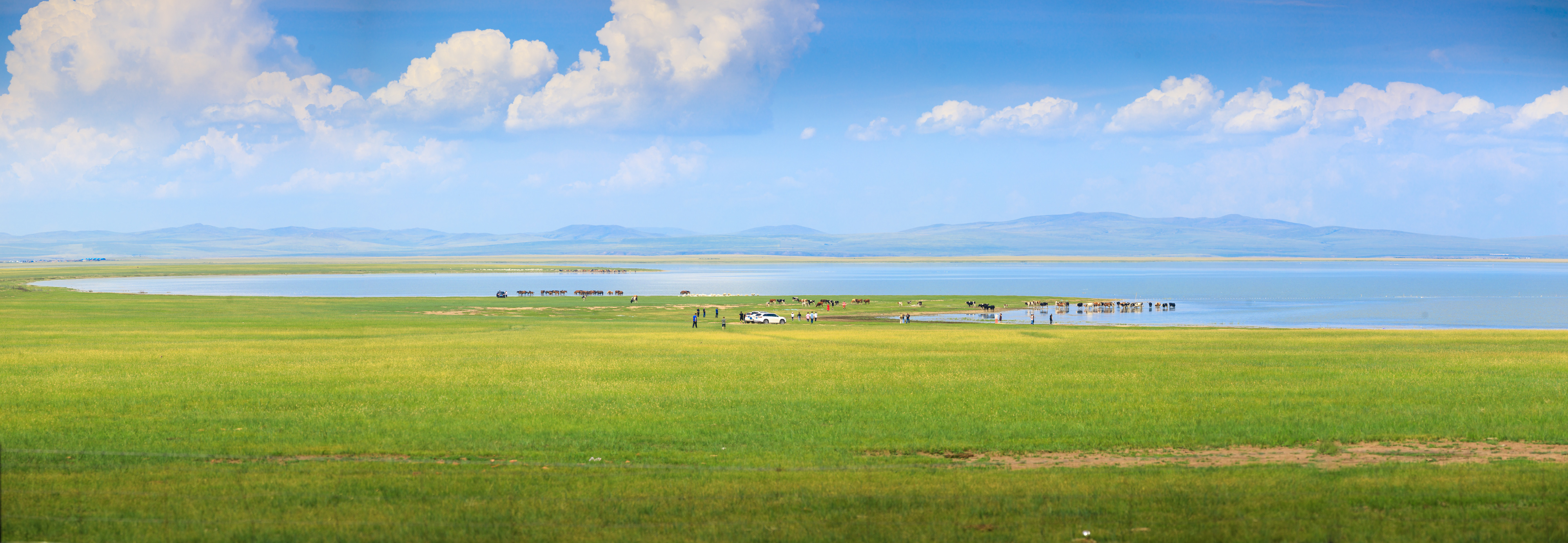 有一种旅行,叫夏天去呼伦贝尔大草原撒欢儿,俄罗斯旅游攻略-游侠客
